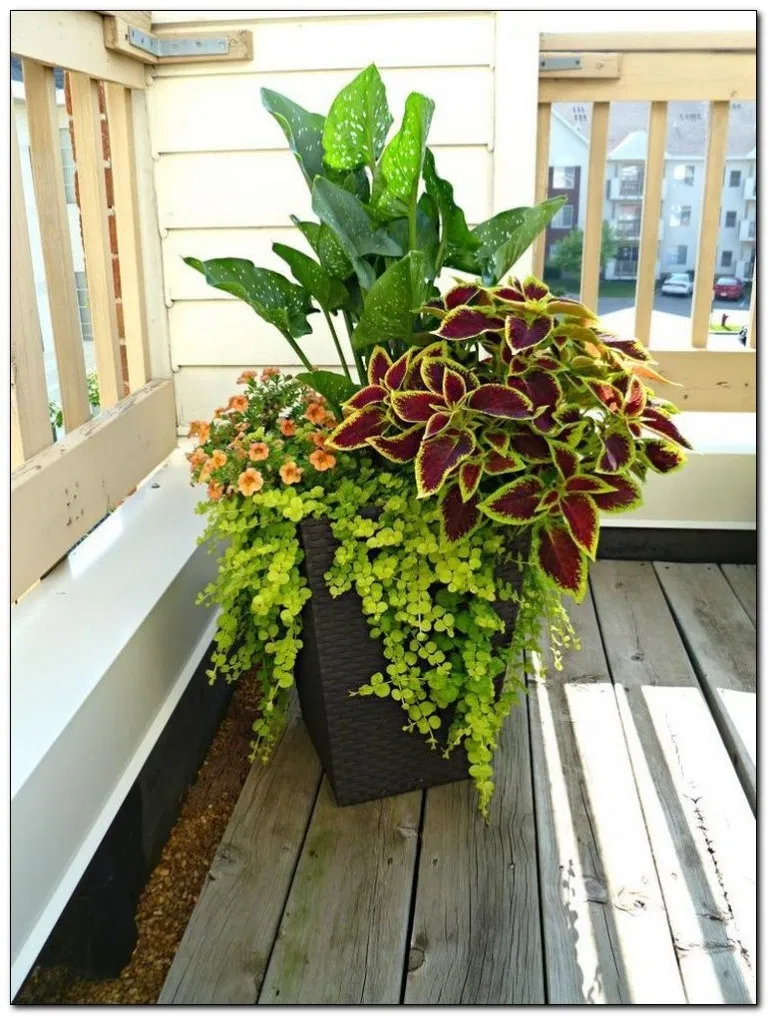 Beautiful Shade Planter