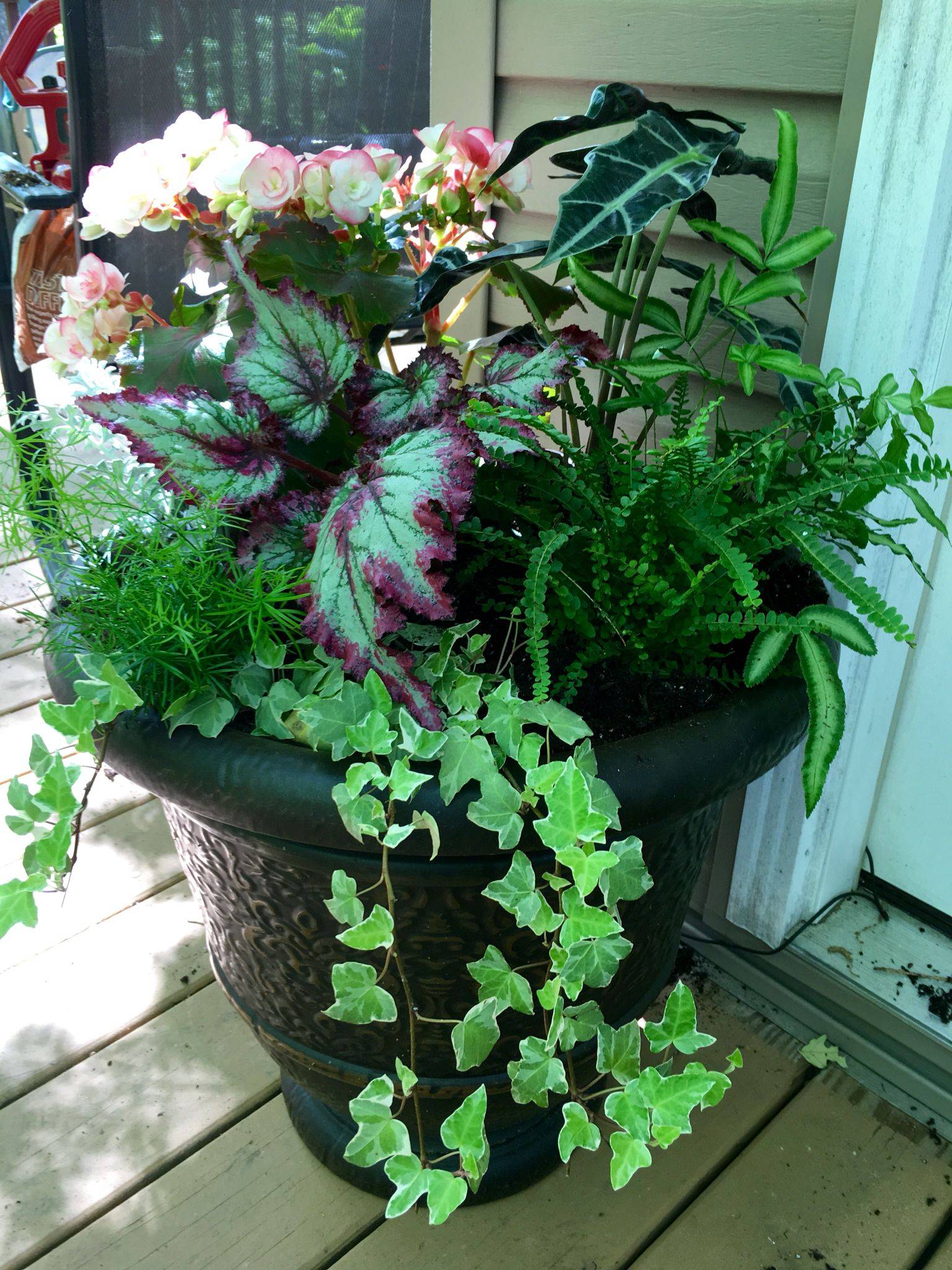 Gorgeous Container Garden Planting Lists A