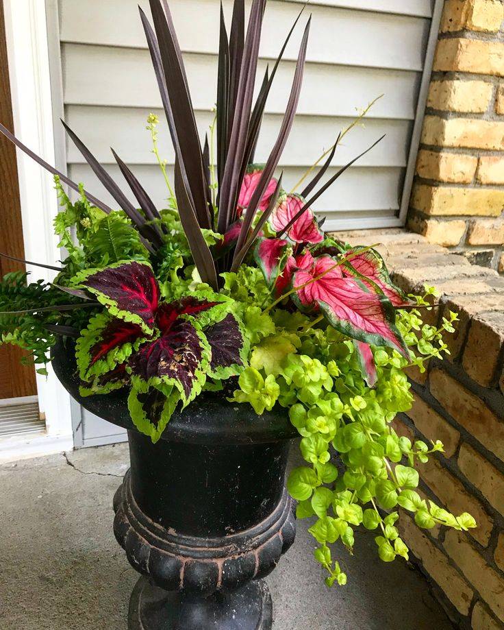 Colorful Shade Garden Pots And Plant Ideas Porch Flowers