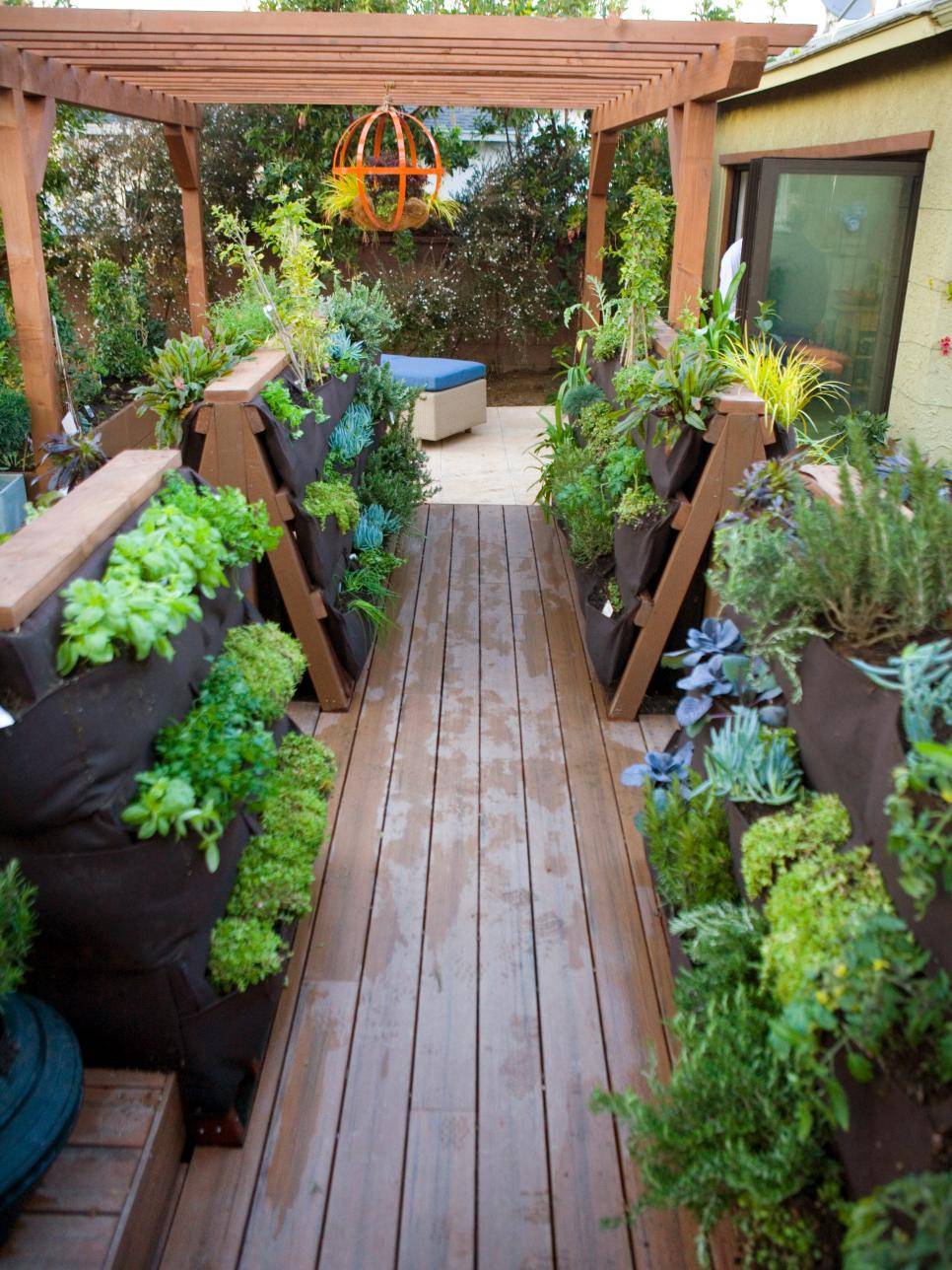 Best Patio Container Garden Design Ideas