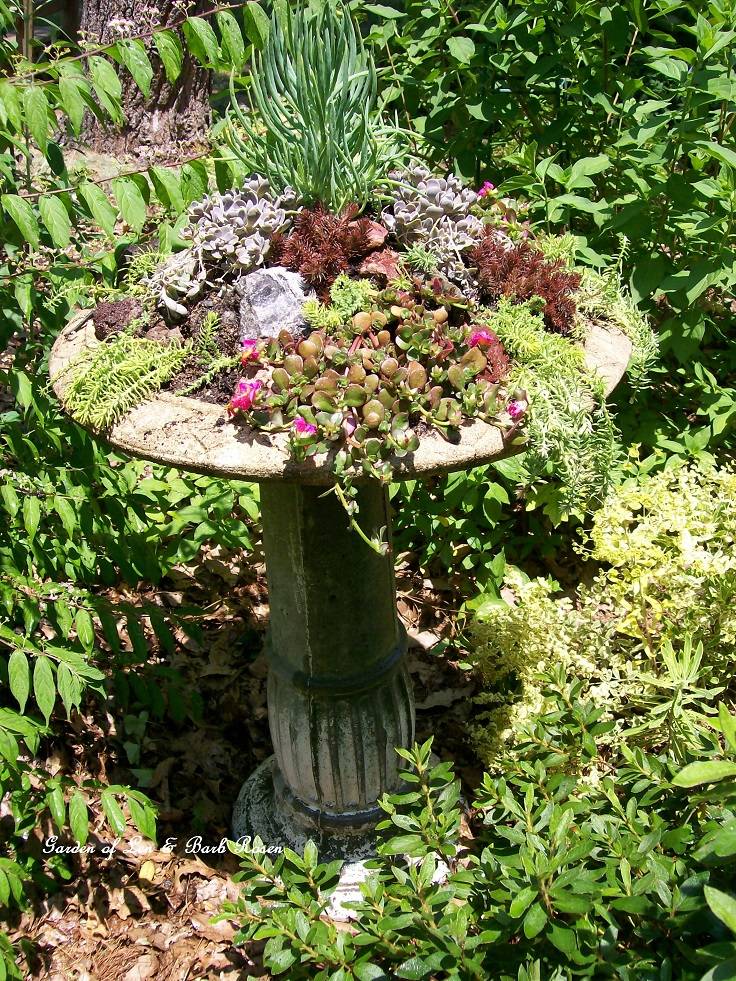 Magical Diy Succulent Fairy Garden Ideas