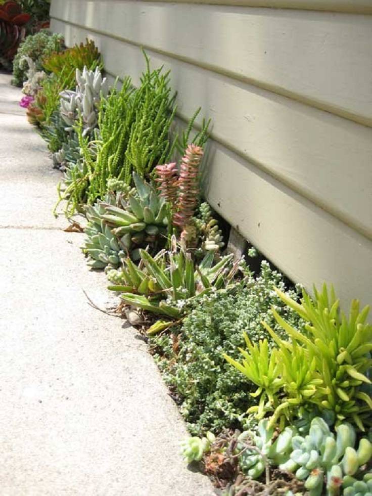 Beautiful Outdoor Succulent Planter Ideas