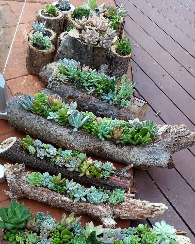 Gorgeous Succulent Garden Ideas