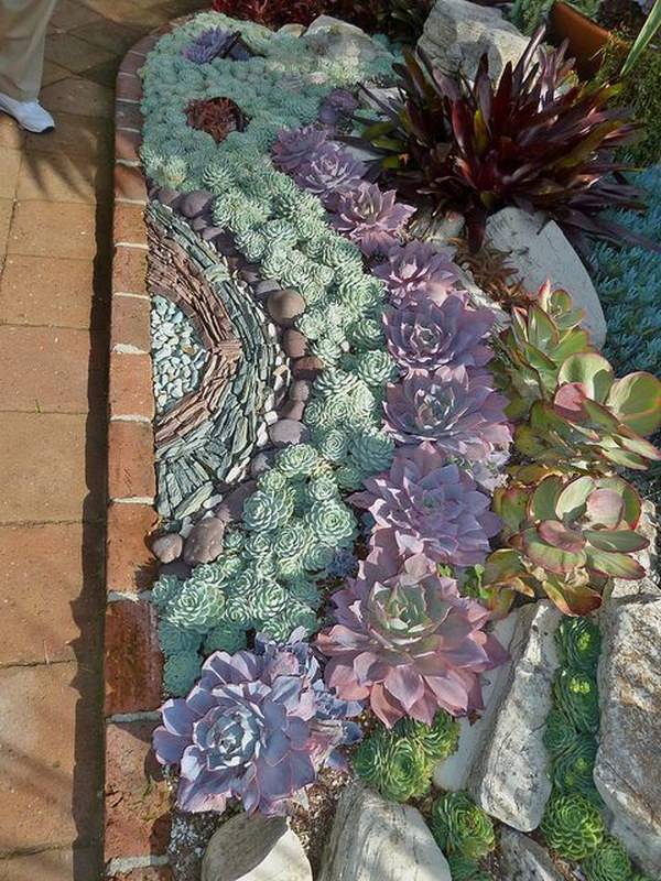Diy Succulent Planter Ideas