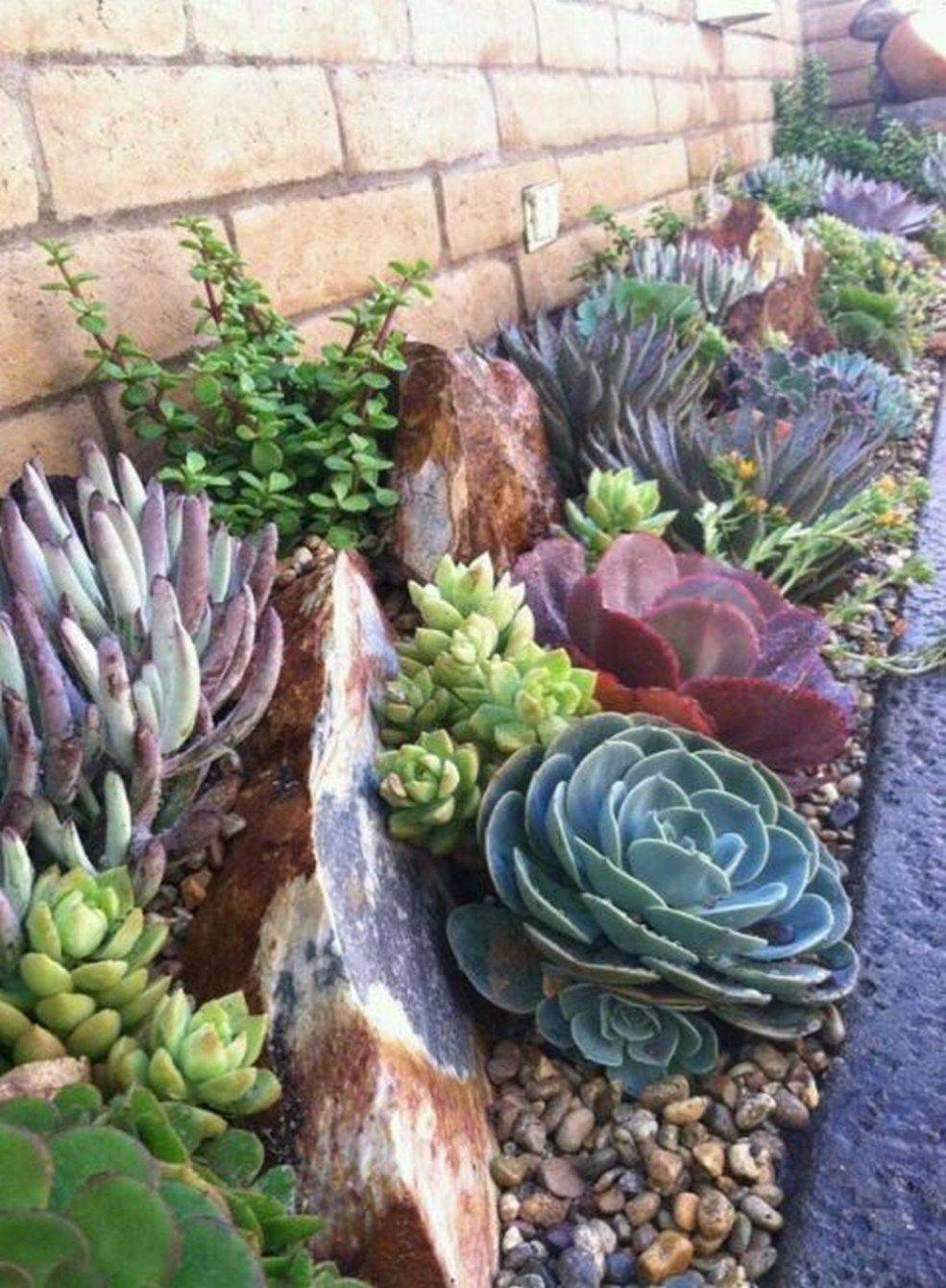 Potted Succulent Gardens World Of Succulents Succulent Garden Diy