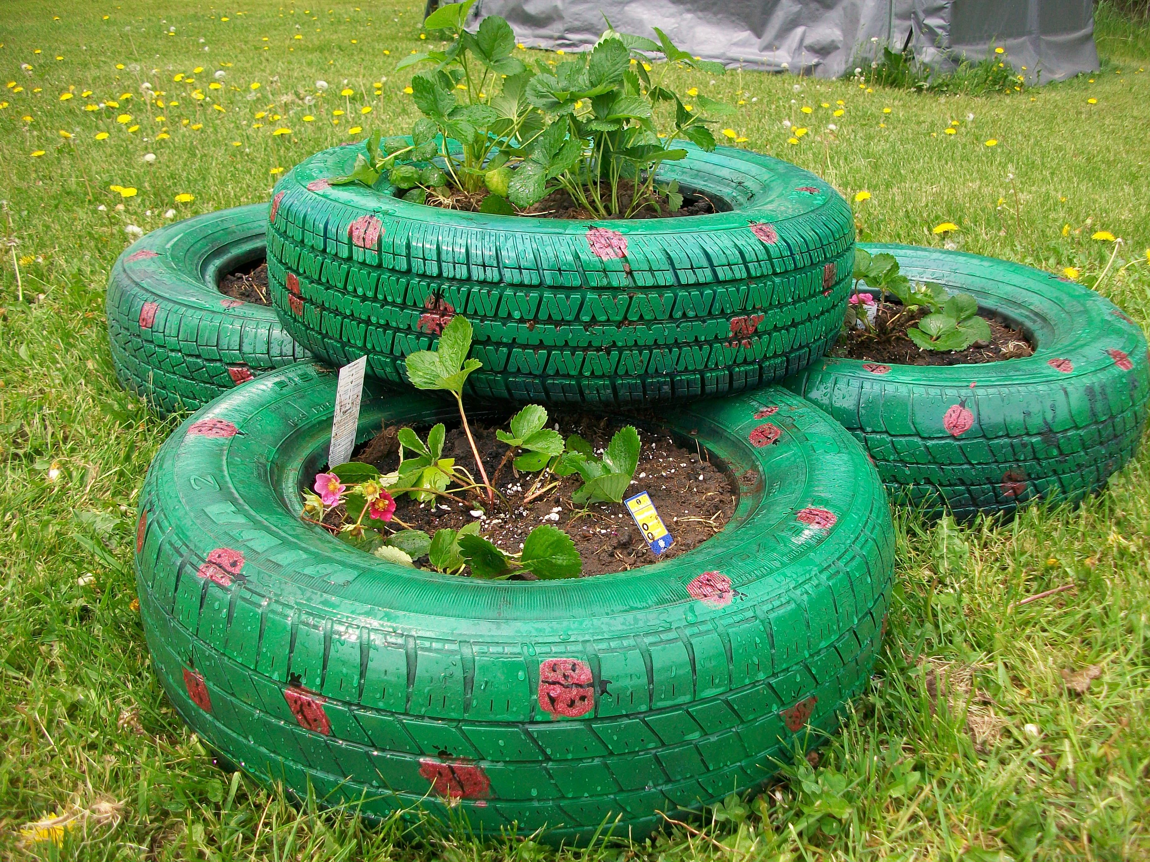 Tire Planters Garden Garden Ftempo