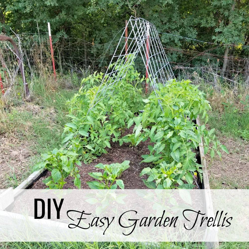 This Edible Garden Edible Garden