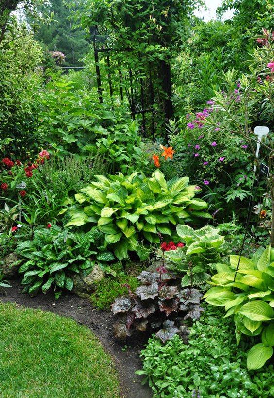 Best Shade Garden Plants