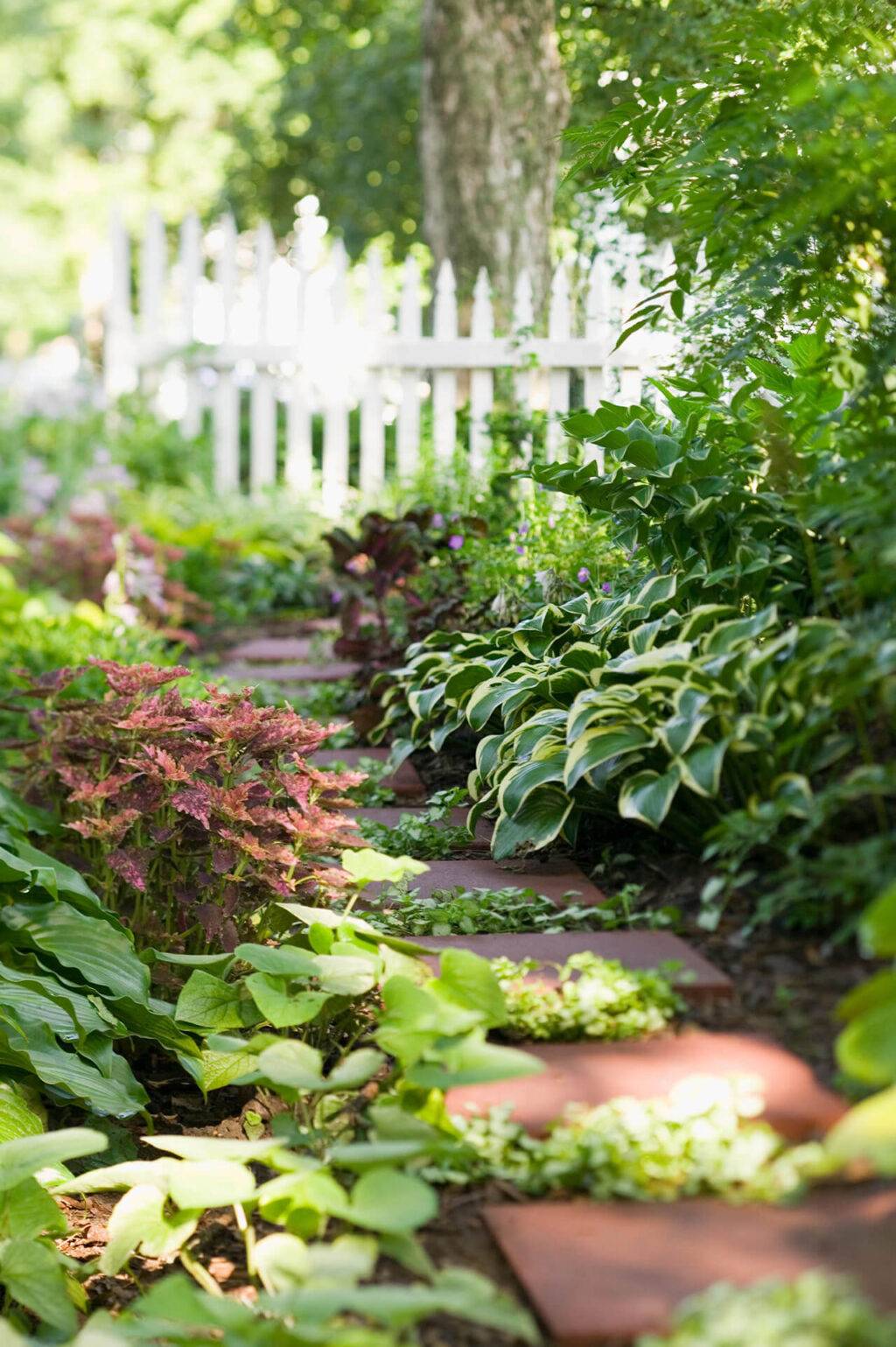Uitspan Front Door Shade Garden