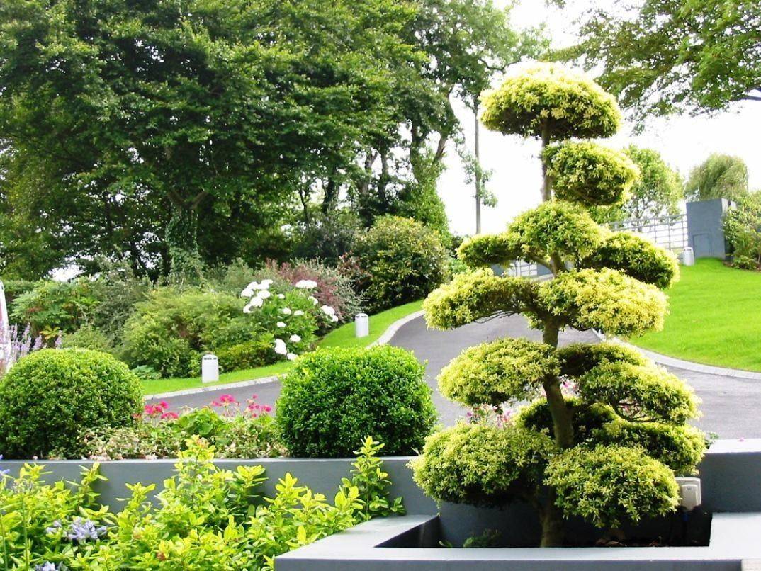 Beautiful Evergreen Grasses Landscaping Ideas Page