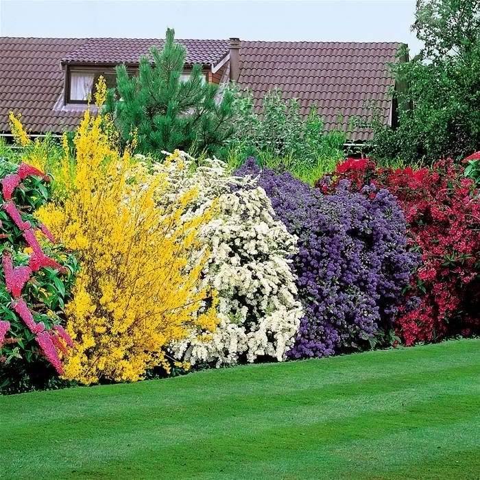 Incredible Front Yard Landscaping Ideas Page