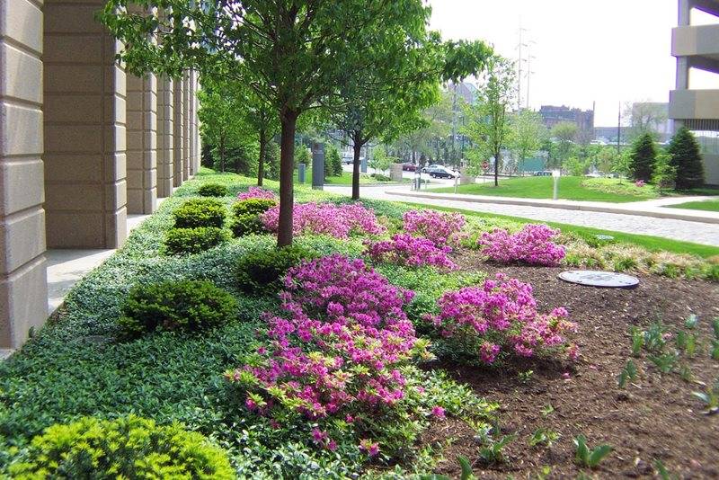 Plantings Greenworks Landscaping