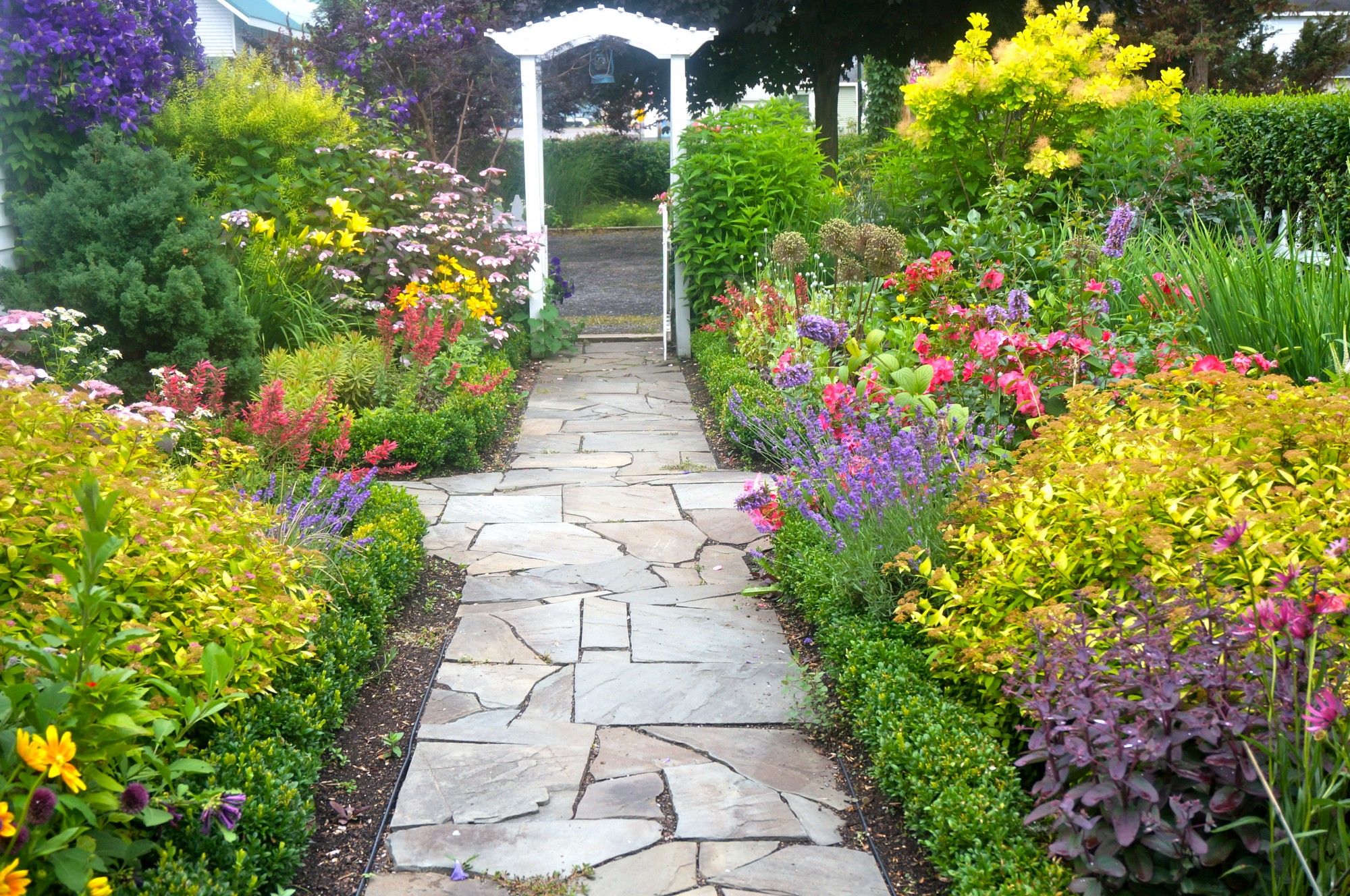 Top Garden Design Ideas Shrubs