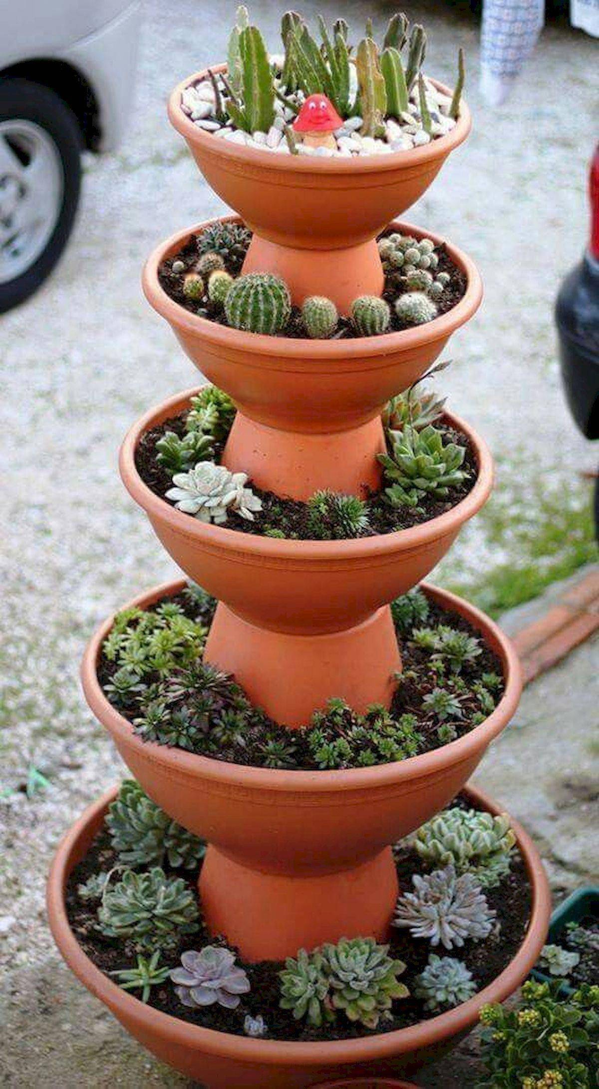 Colorful Succulent Container Garden Ideas