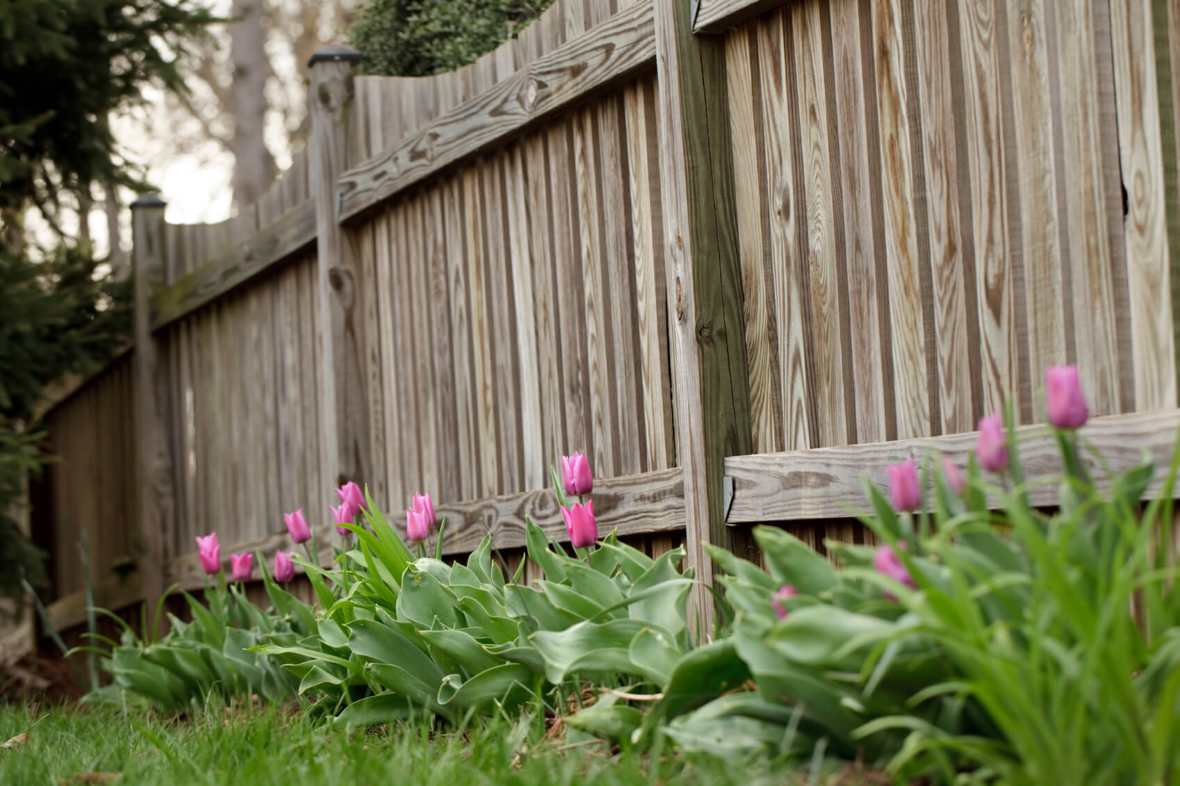 Great Backyard Wooden Privacy Fence Design Ideas