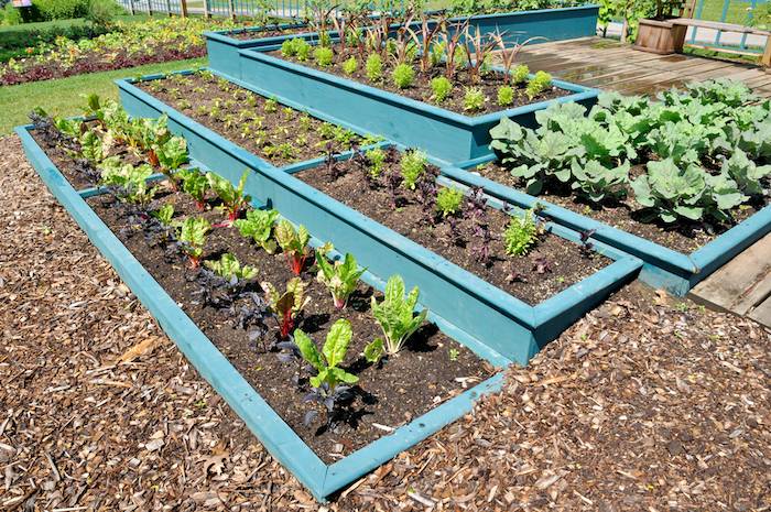 Amazing Garden Bed Edging Ideas