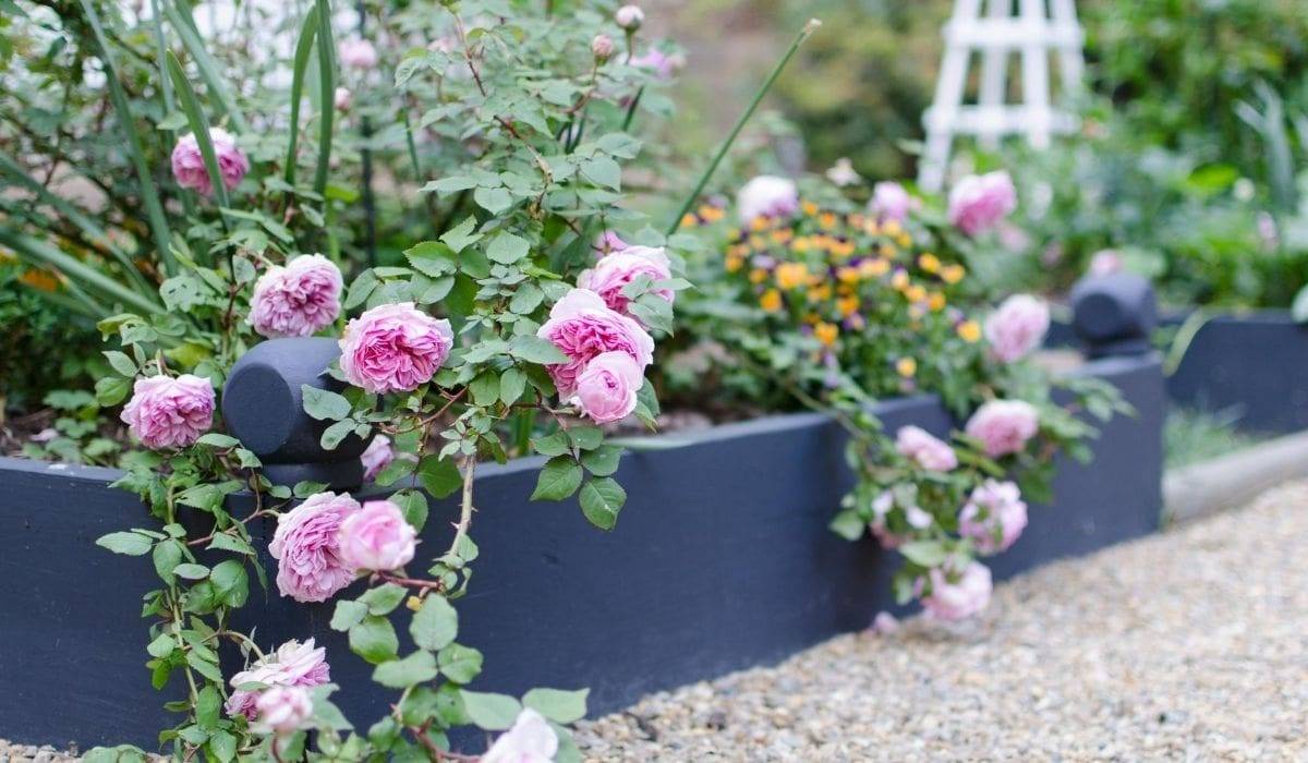 Unique Raised Garden Bed Ideas Vegetables