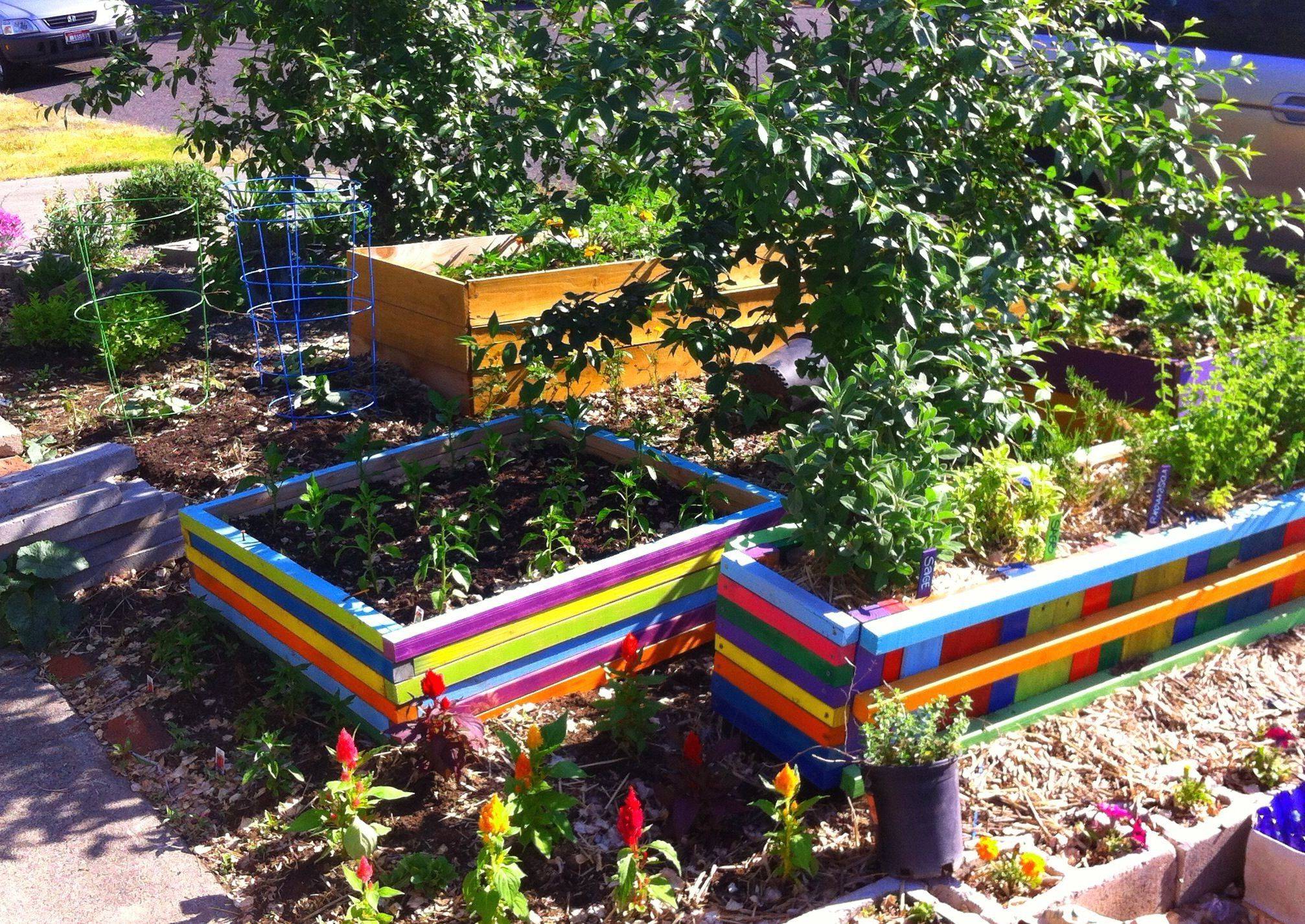 My Raised Bed