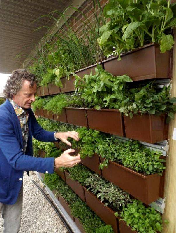 Succulents Living Walls Vertical Gardens Ideas