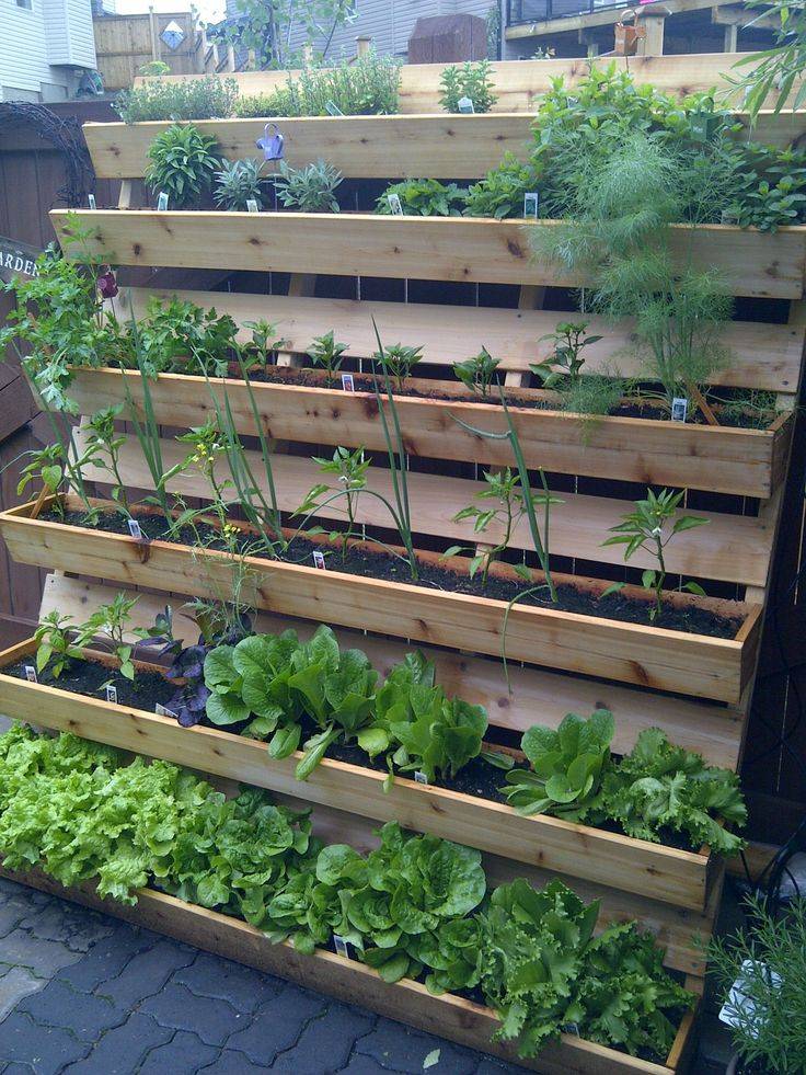 Beautiful And Creative Vertical Wall Garden Ideas