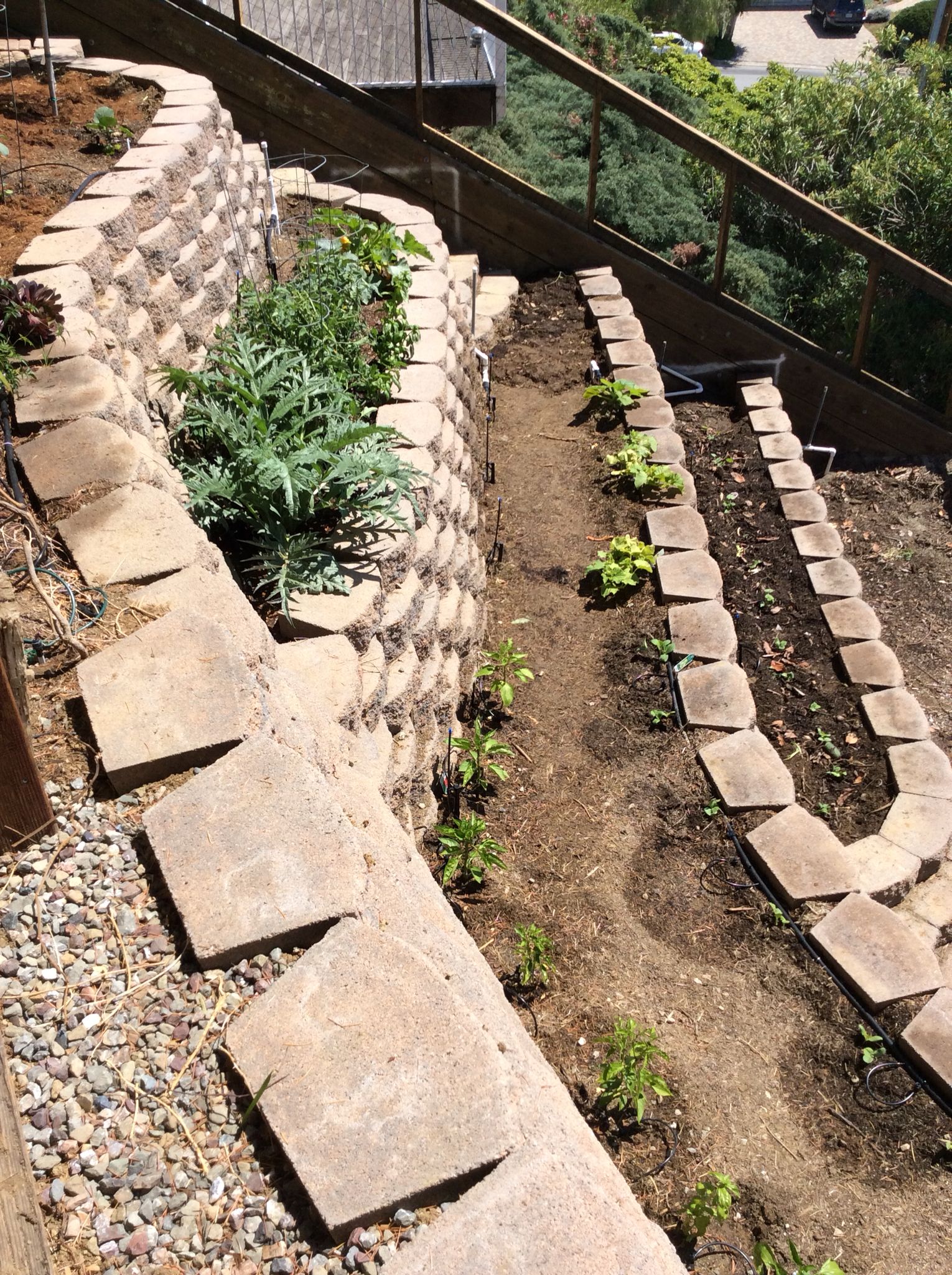 Flower Bed Patio Backyard Cheap Garden Design