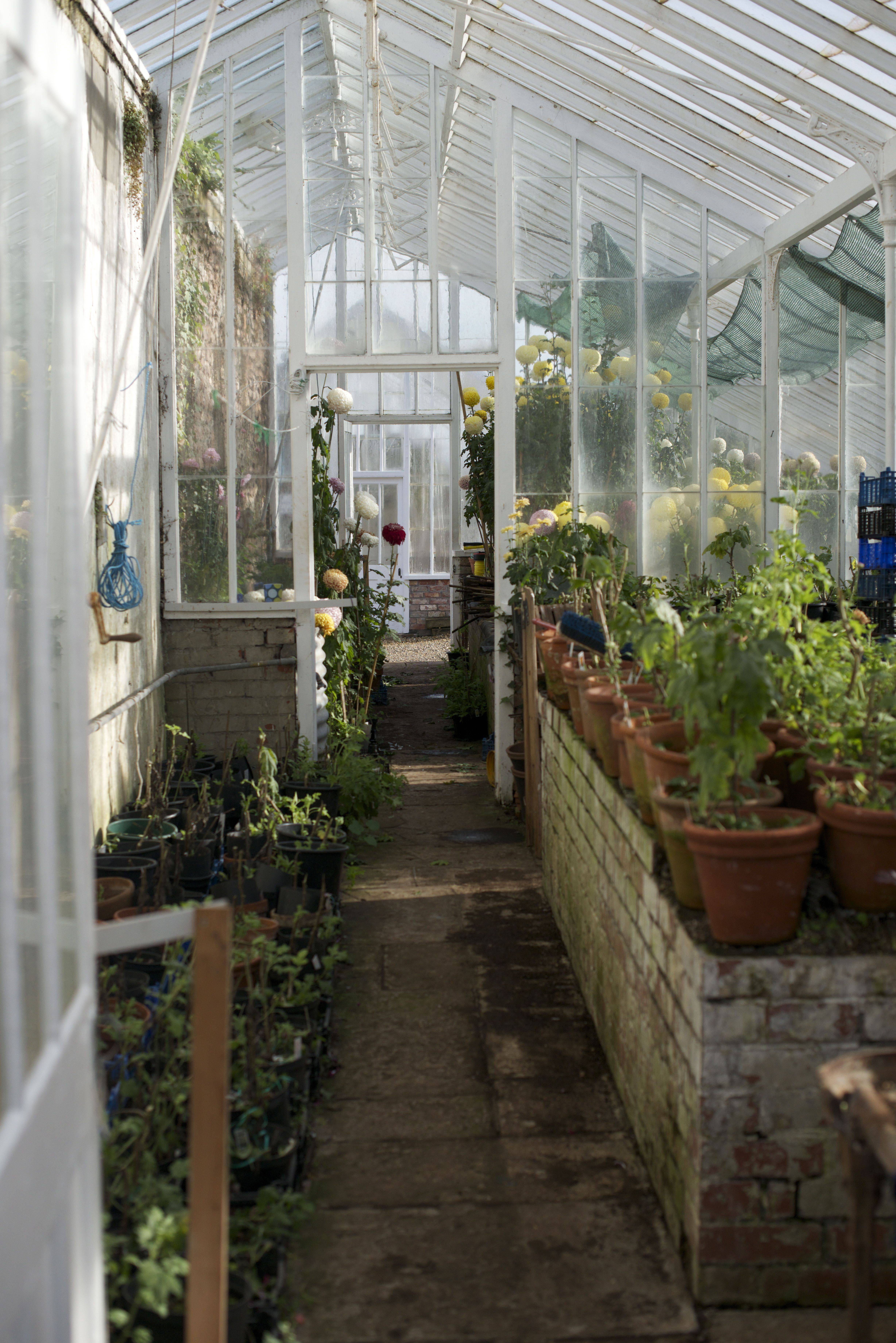 White Cottage Greenhouses