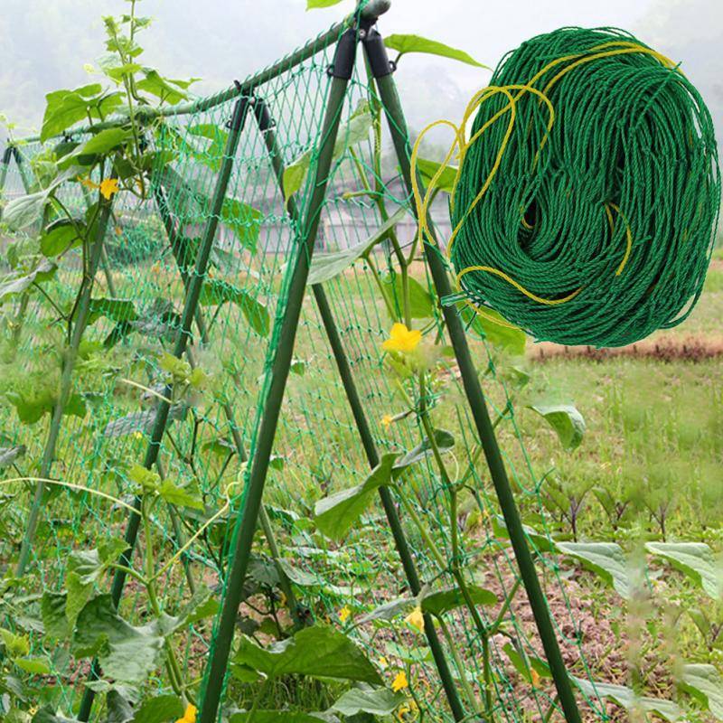 20 Vegetable Garden Netting Ideas To Try This Year SharonSable