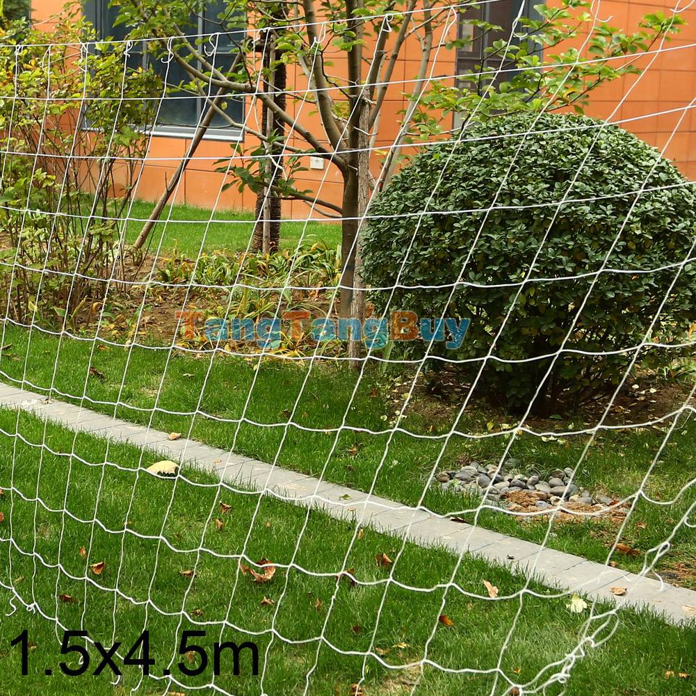 20 Vegetable Garden Netting Ideas To Try This Year SharonSable