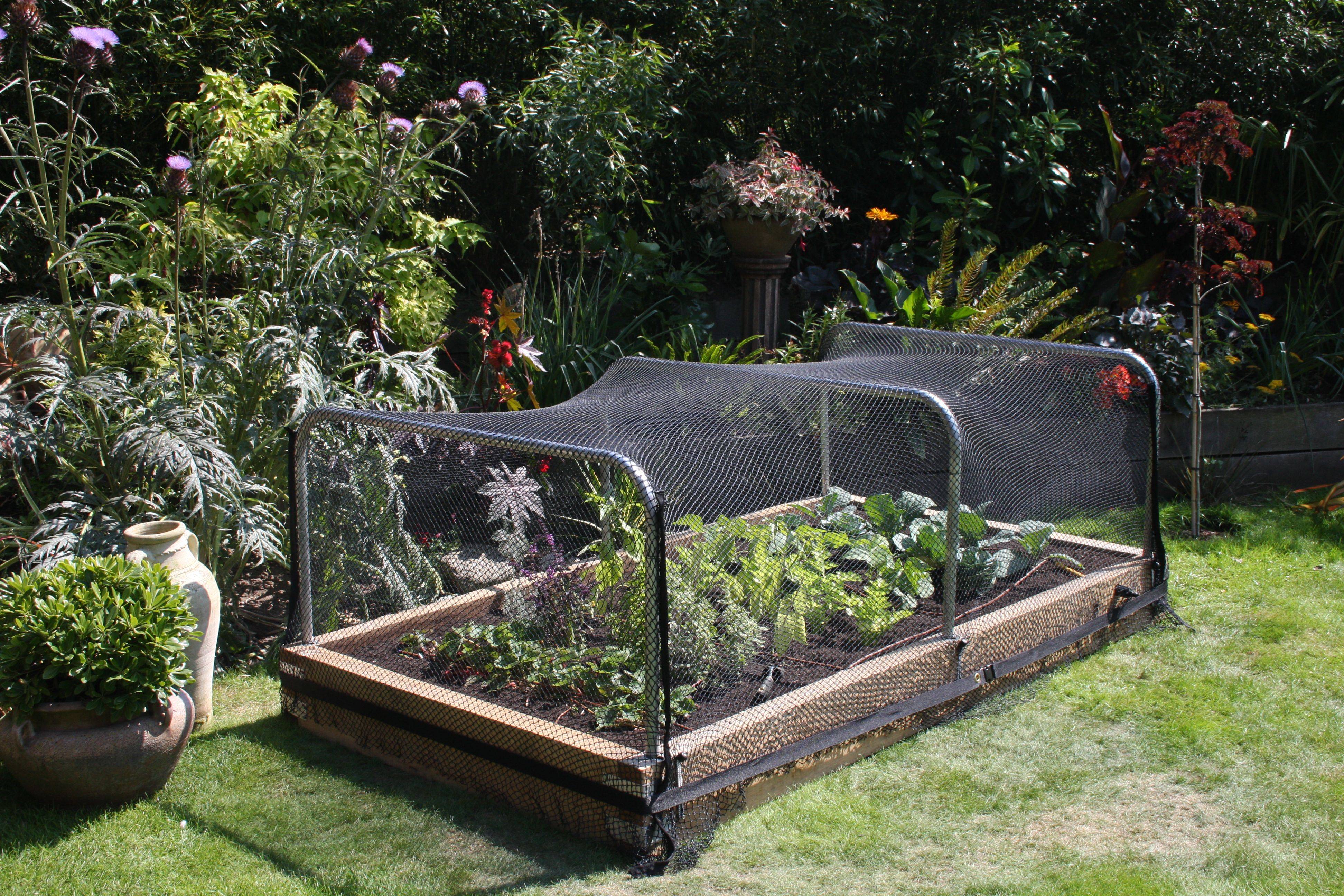 20 Vegetable Garden Netting Ideas To Try This Year SharonSable