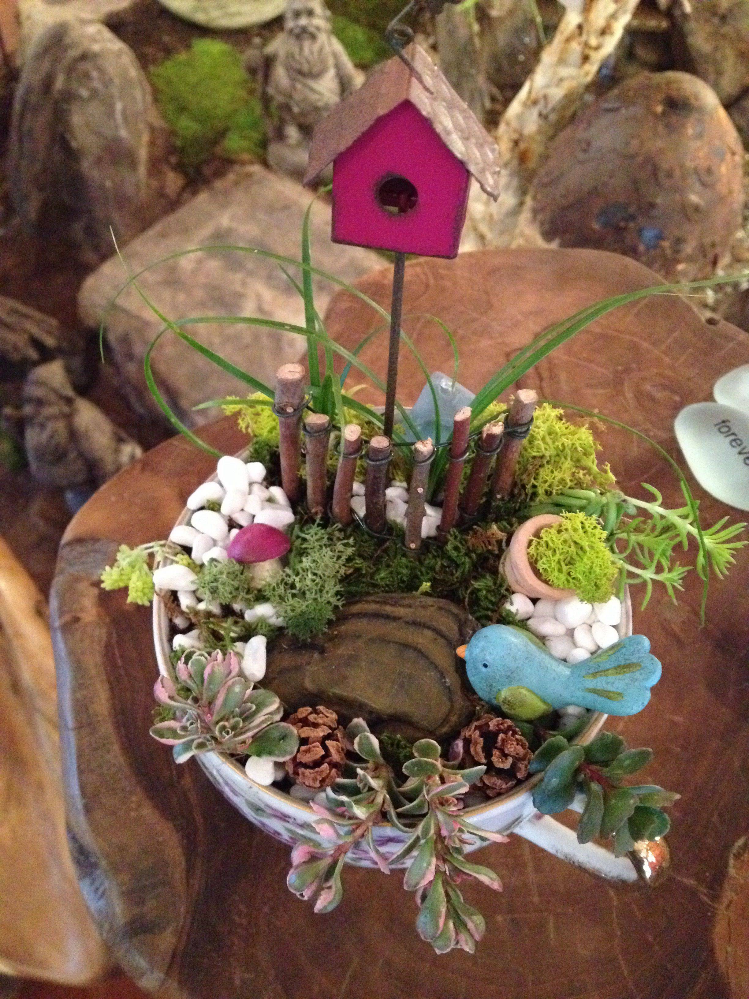 Creative Diy Summer Gardening Teacup Fairy Garden Ideas Page Of