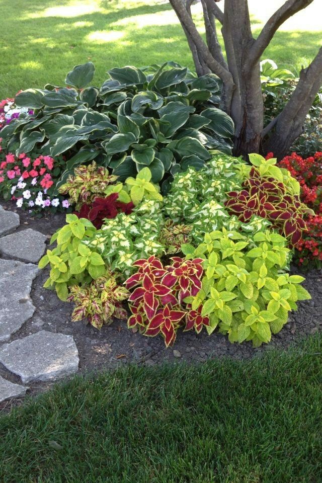 Landscape Ideas