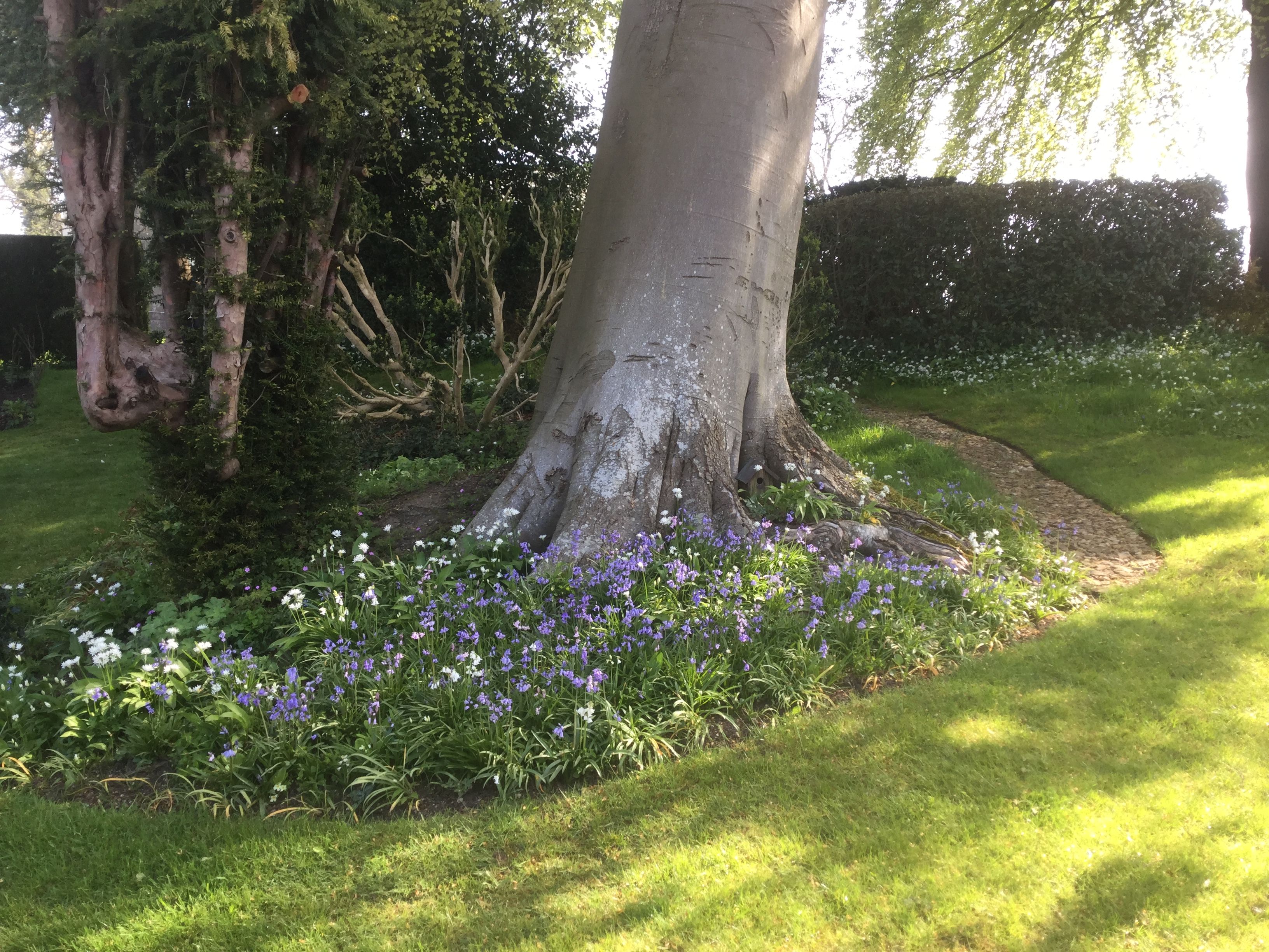 Cheap Landscaping Ideas