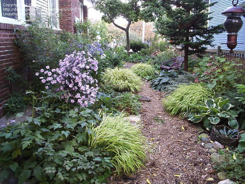 A Shady Landscape Shade Garden Design