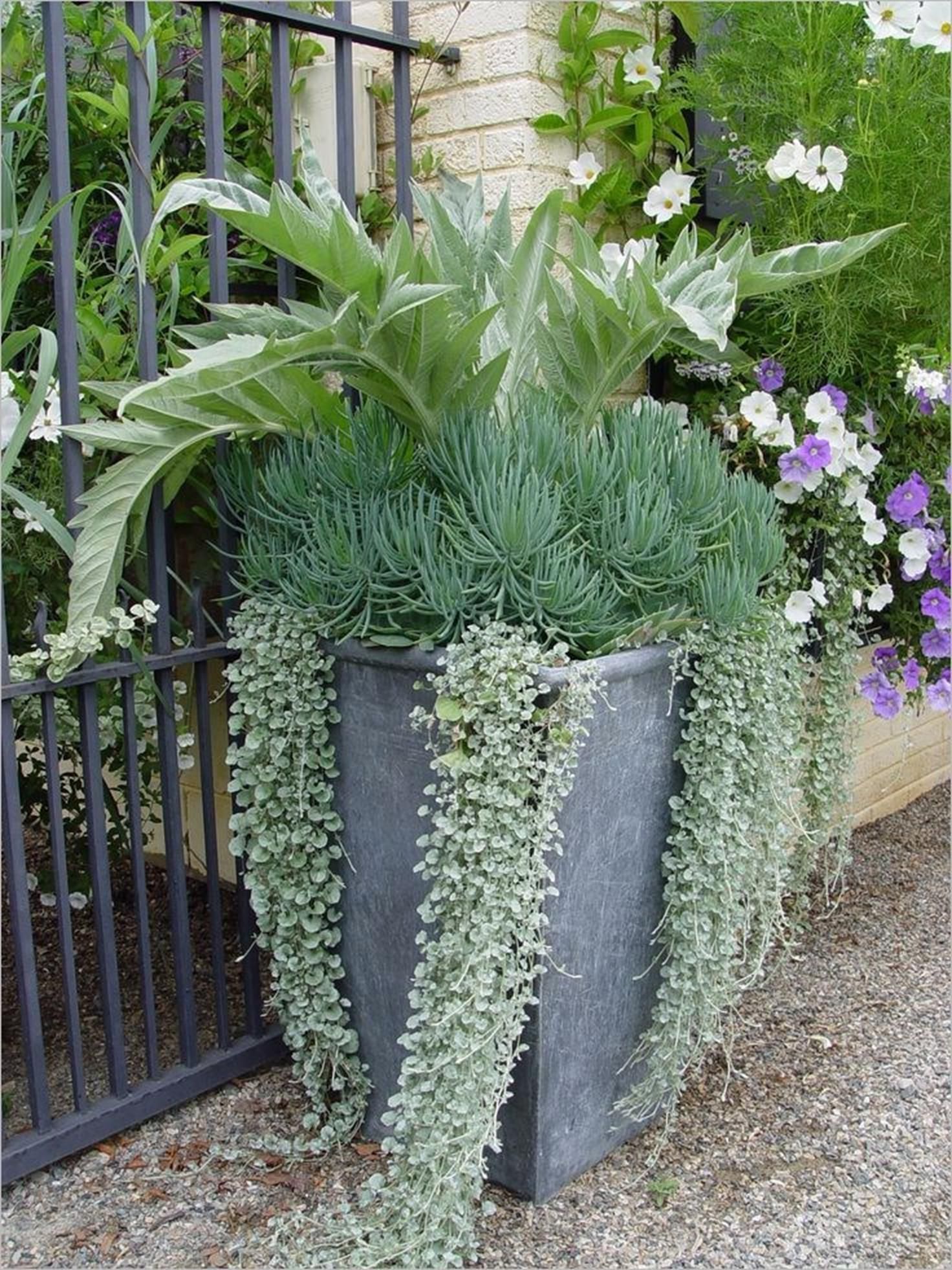 Container Garden Ideas Fairview Garden Center
