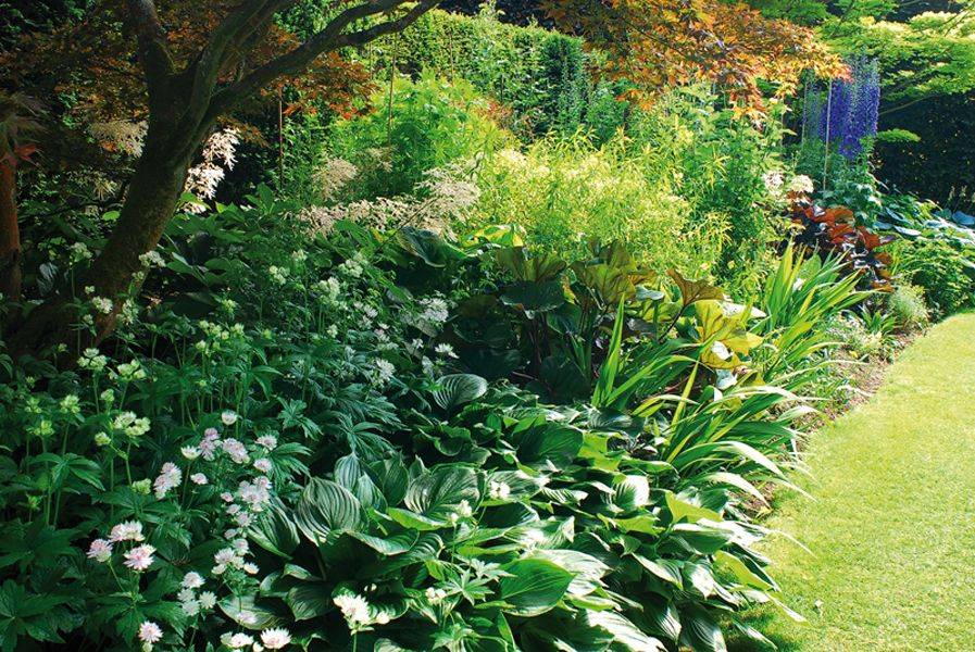 An English Woodland Gardenista