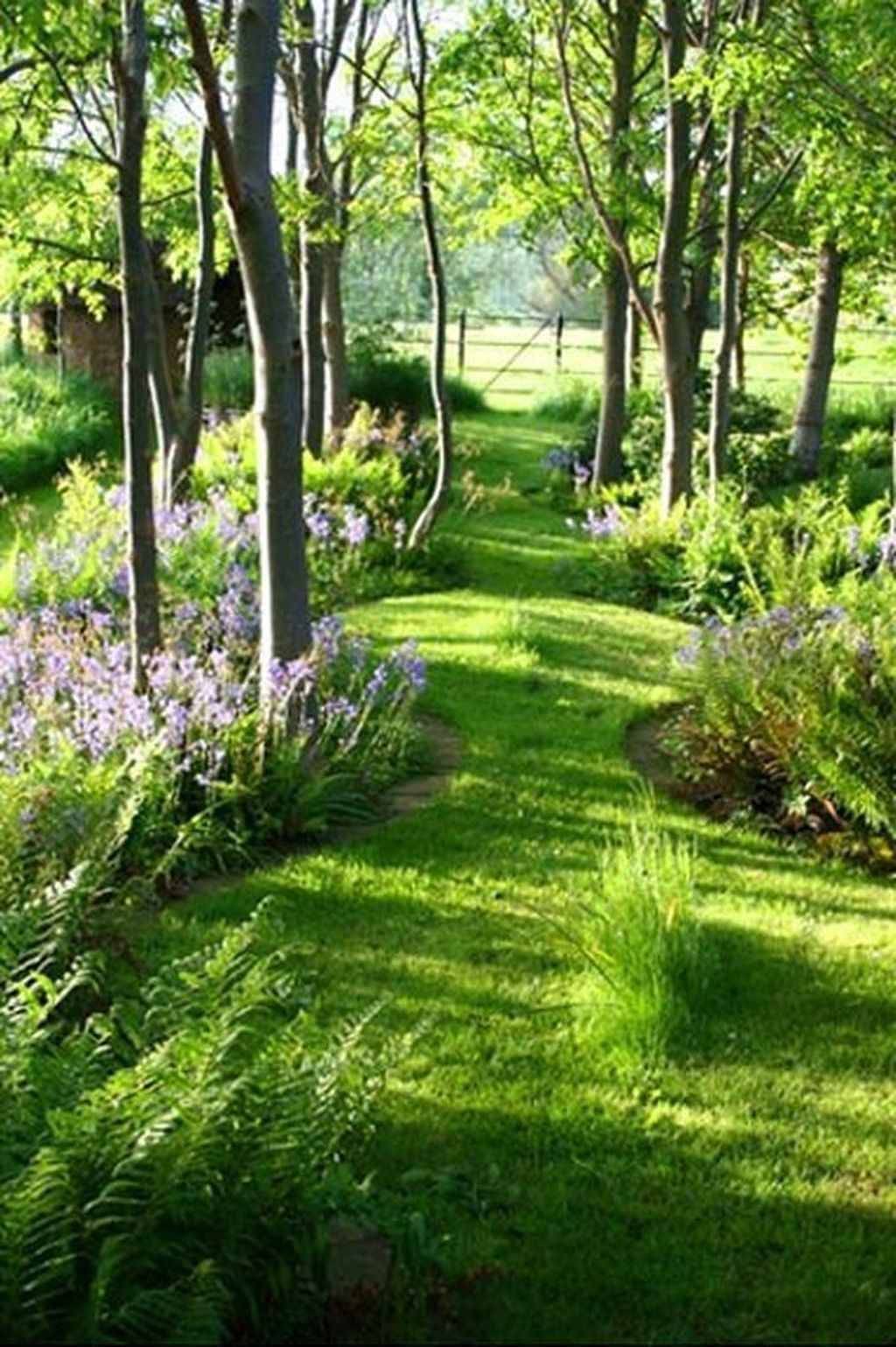 Woodland Garden Design Fancydecors