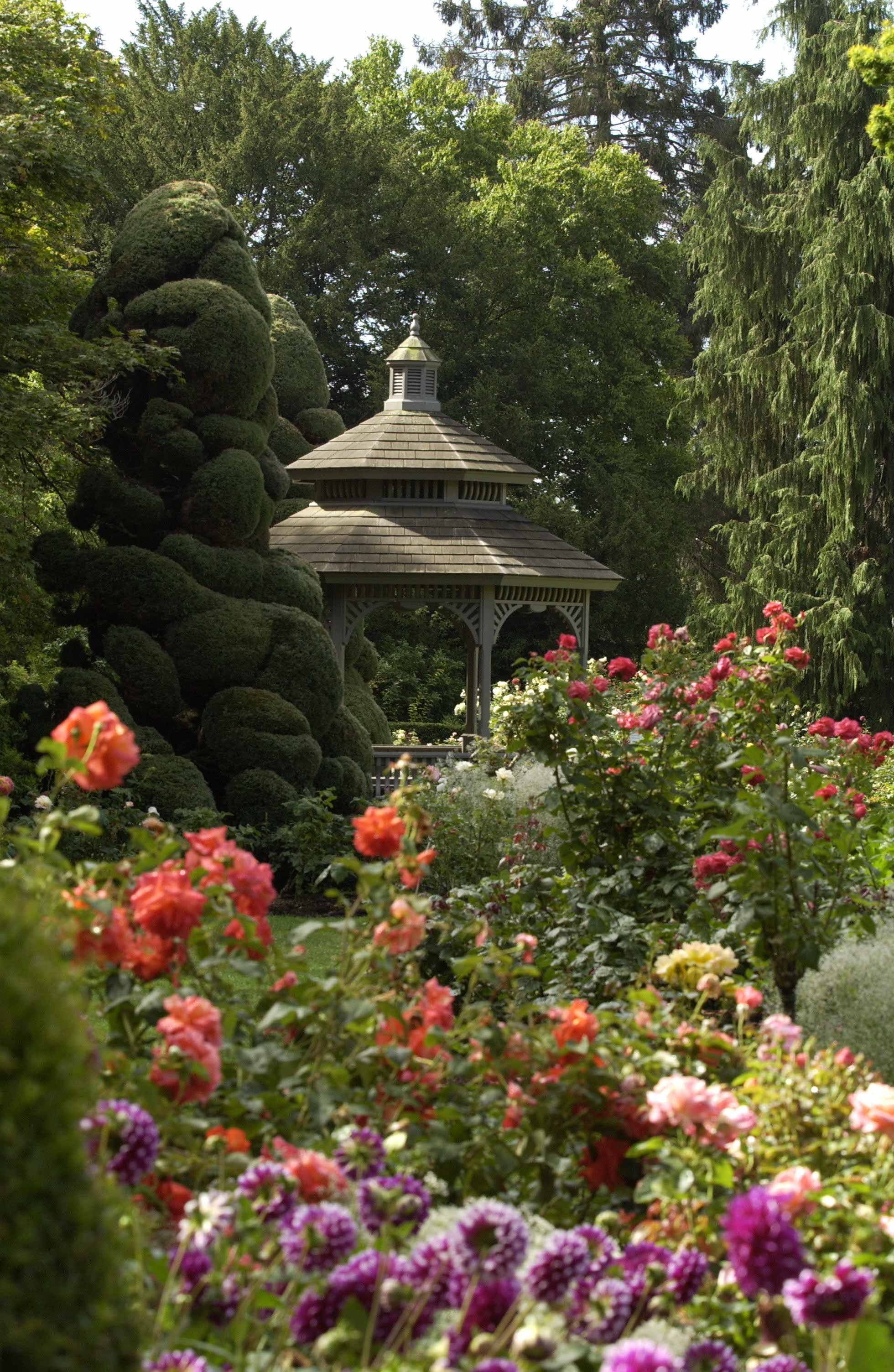 Woodland Garden Design Fancydecors