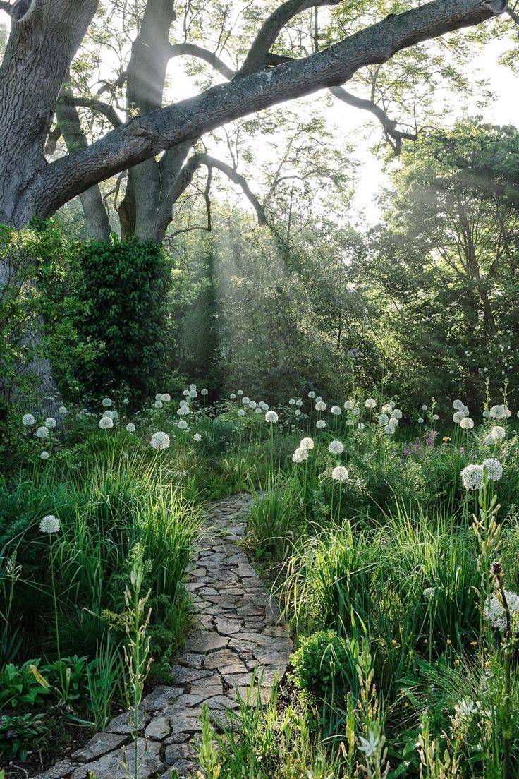 Best Diy Cottage Garden Ideas