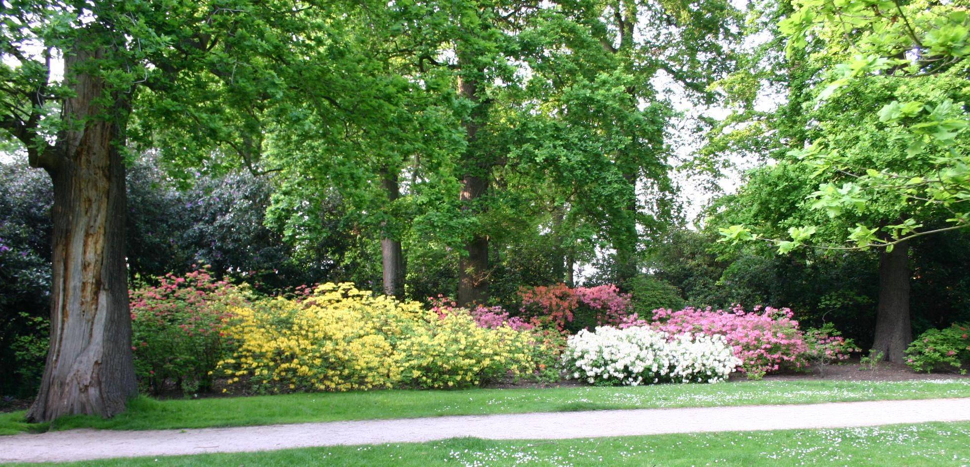 Hillside Garden Design Ideas