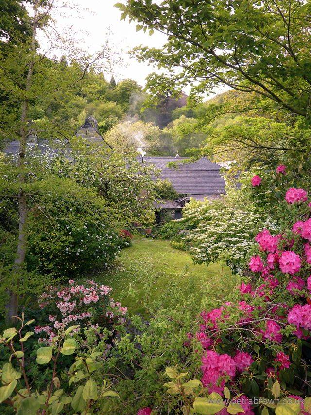 Hillside Garden Design Ideas