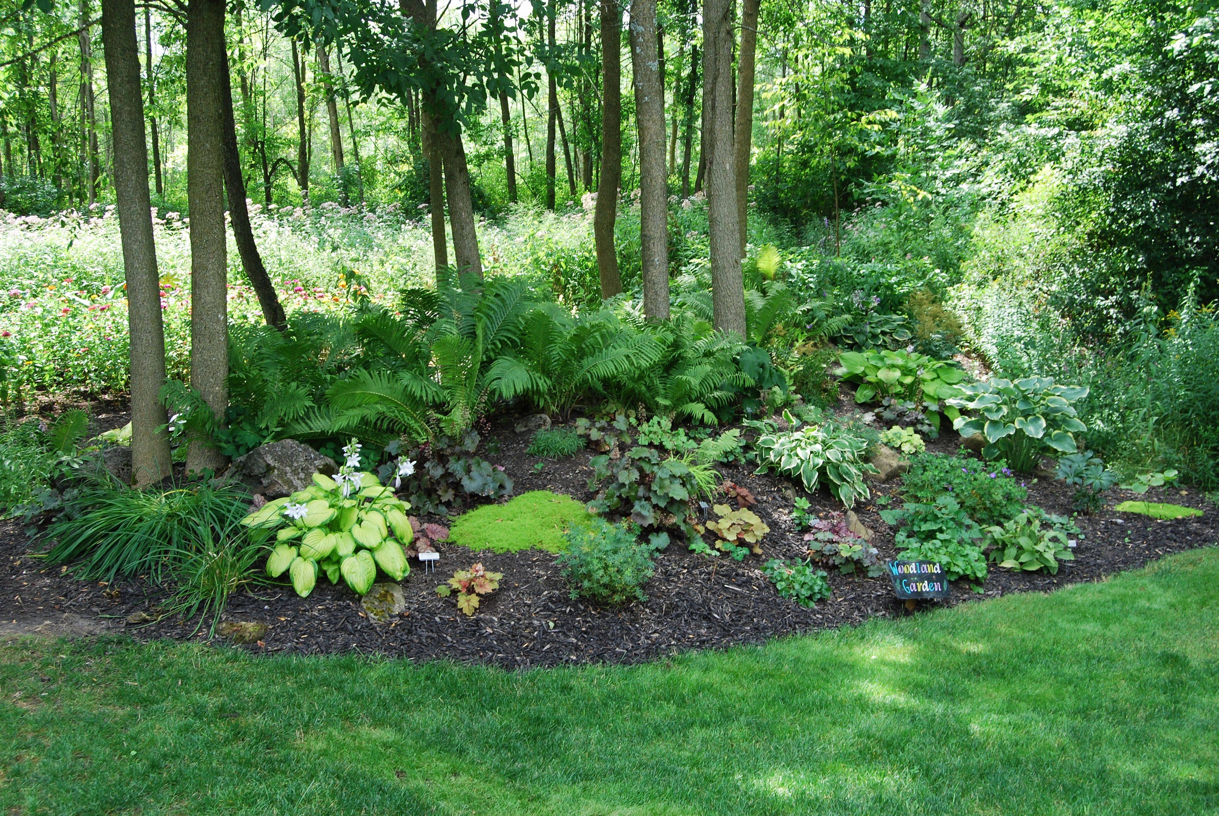 Patiobackyard Cottage Garden