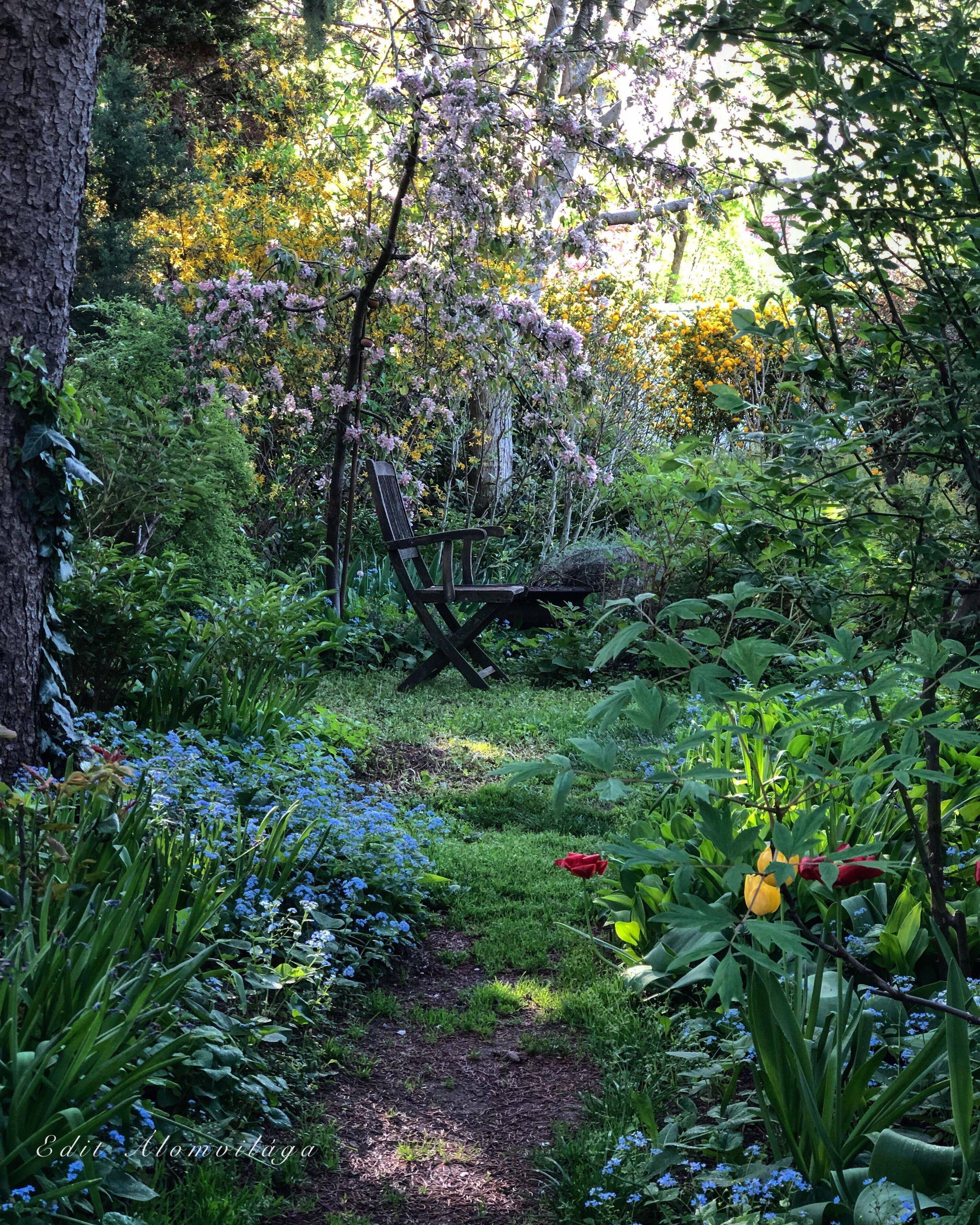 The Shade Gardens