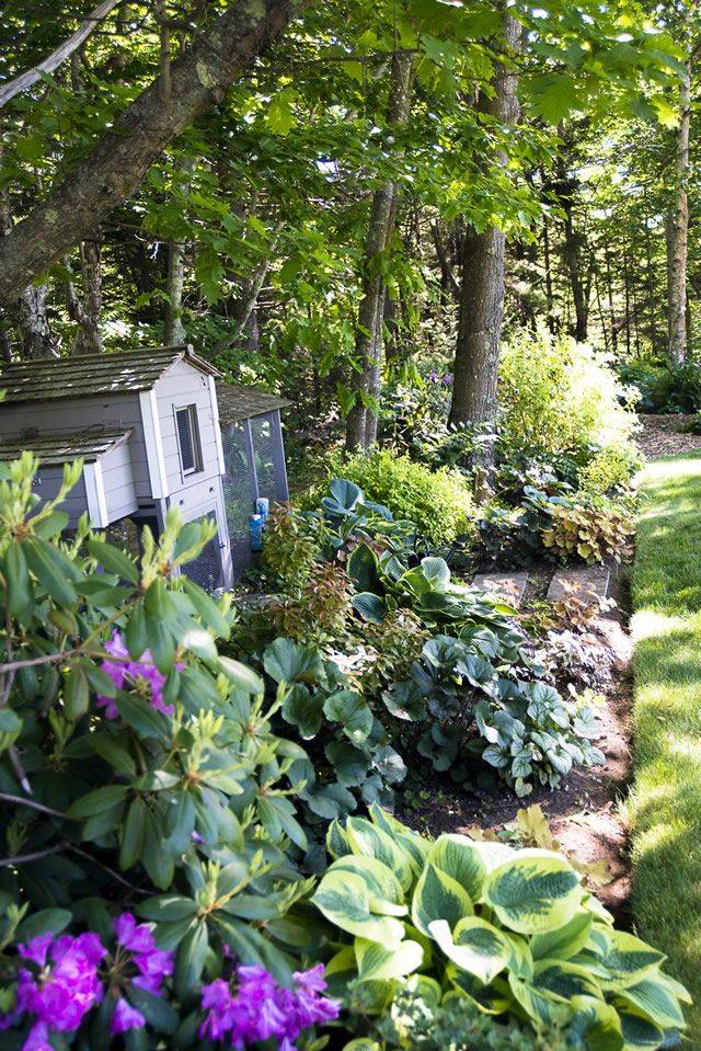 Drainage Ditch Ideas