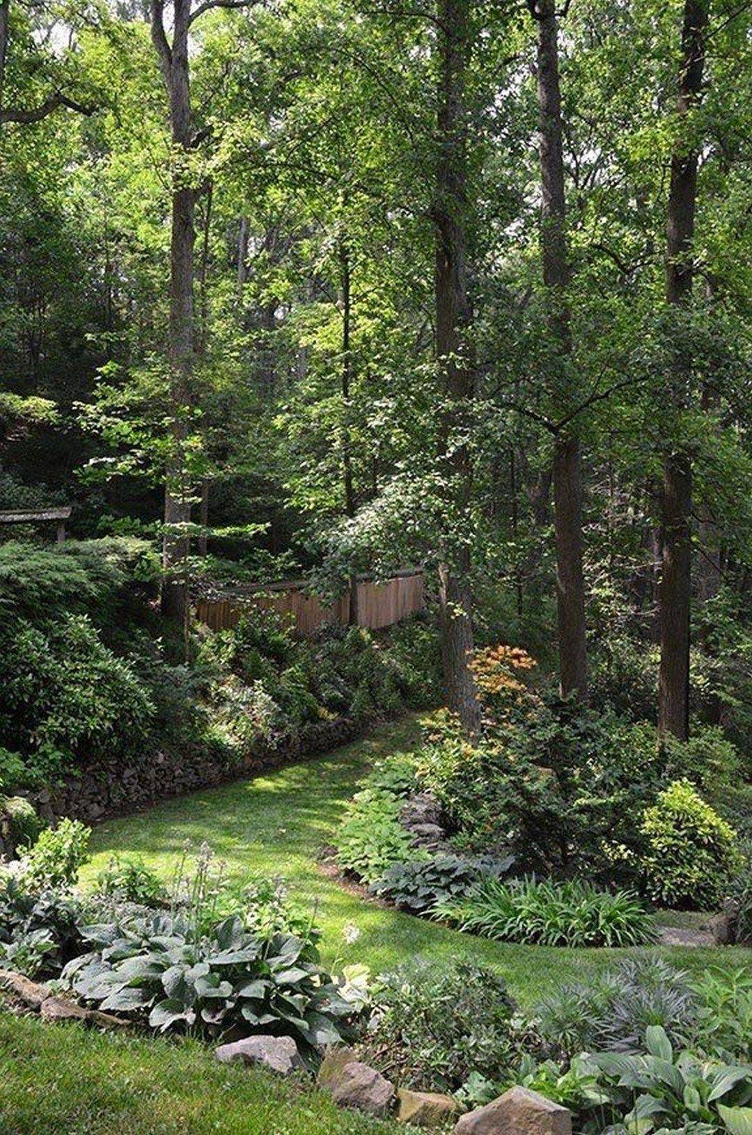 Backyard Diy