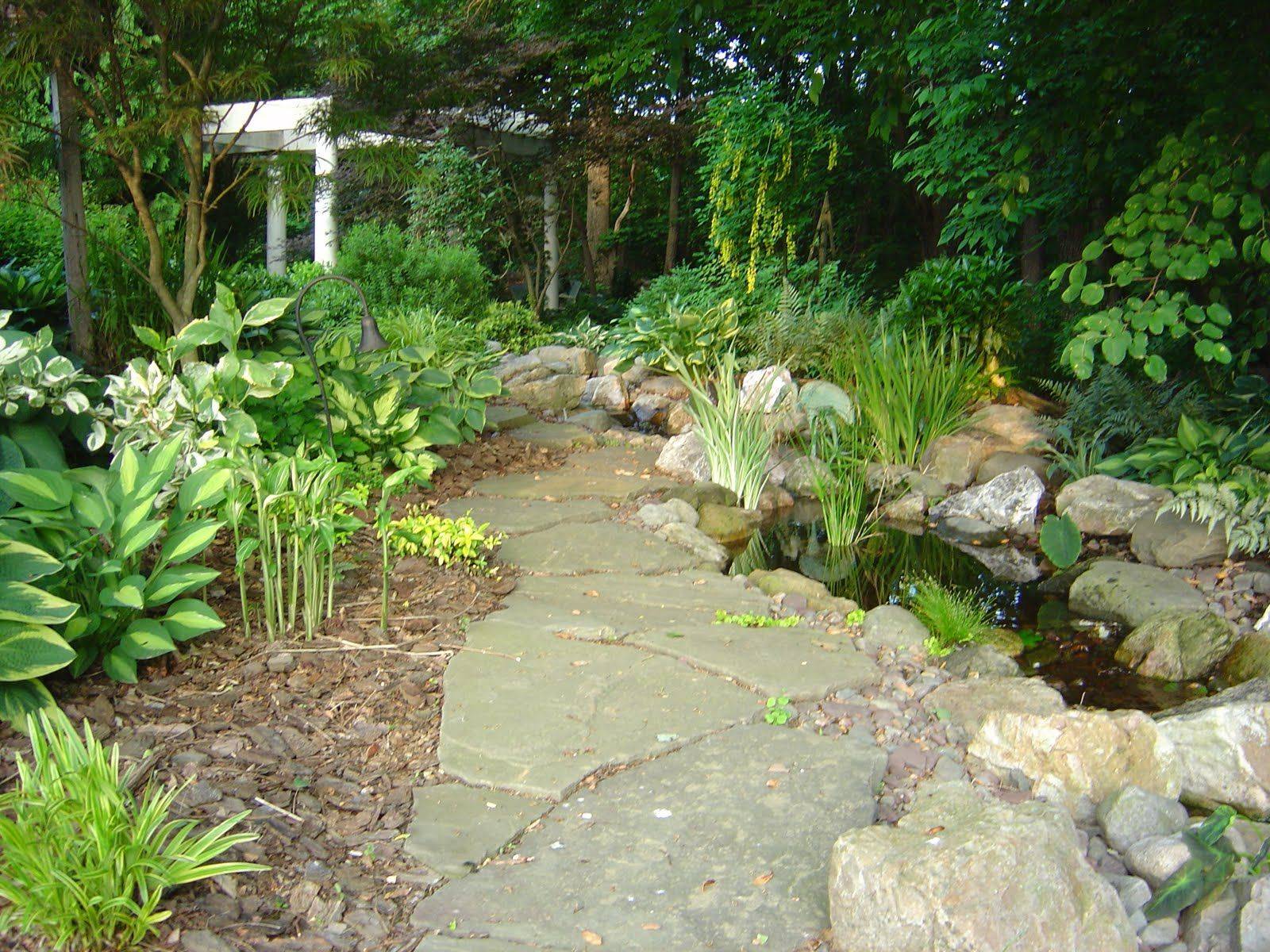 Another Lovely Dry Shade Site