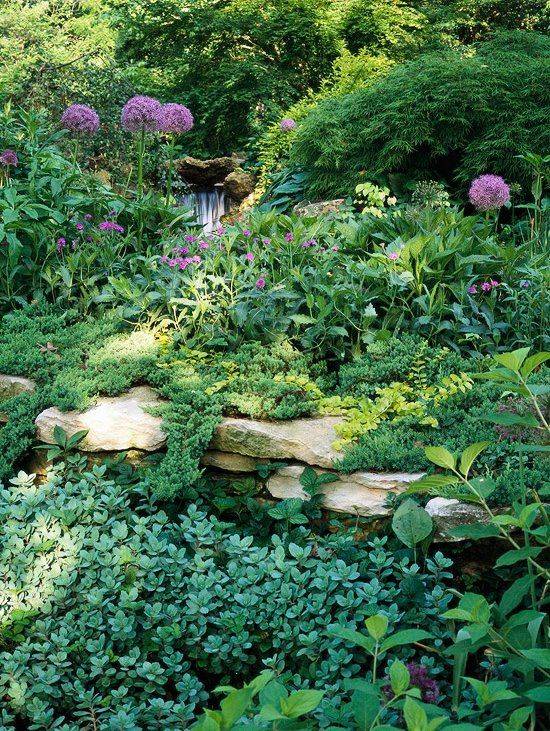 Backyard Landscaping