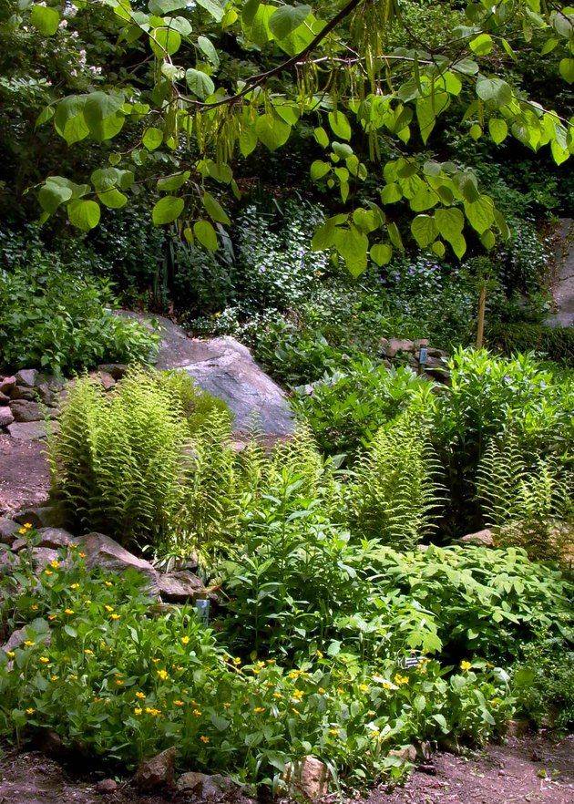 Our Dry Creek Bed