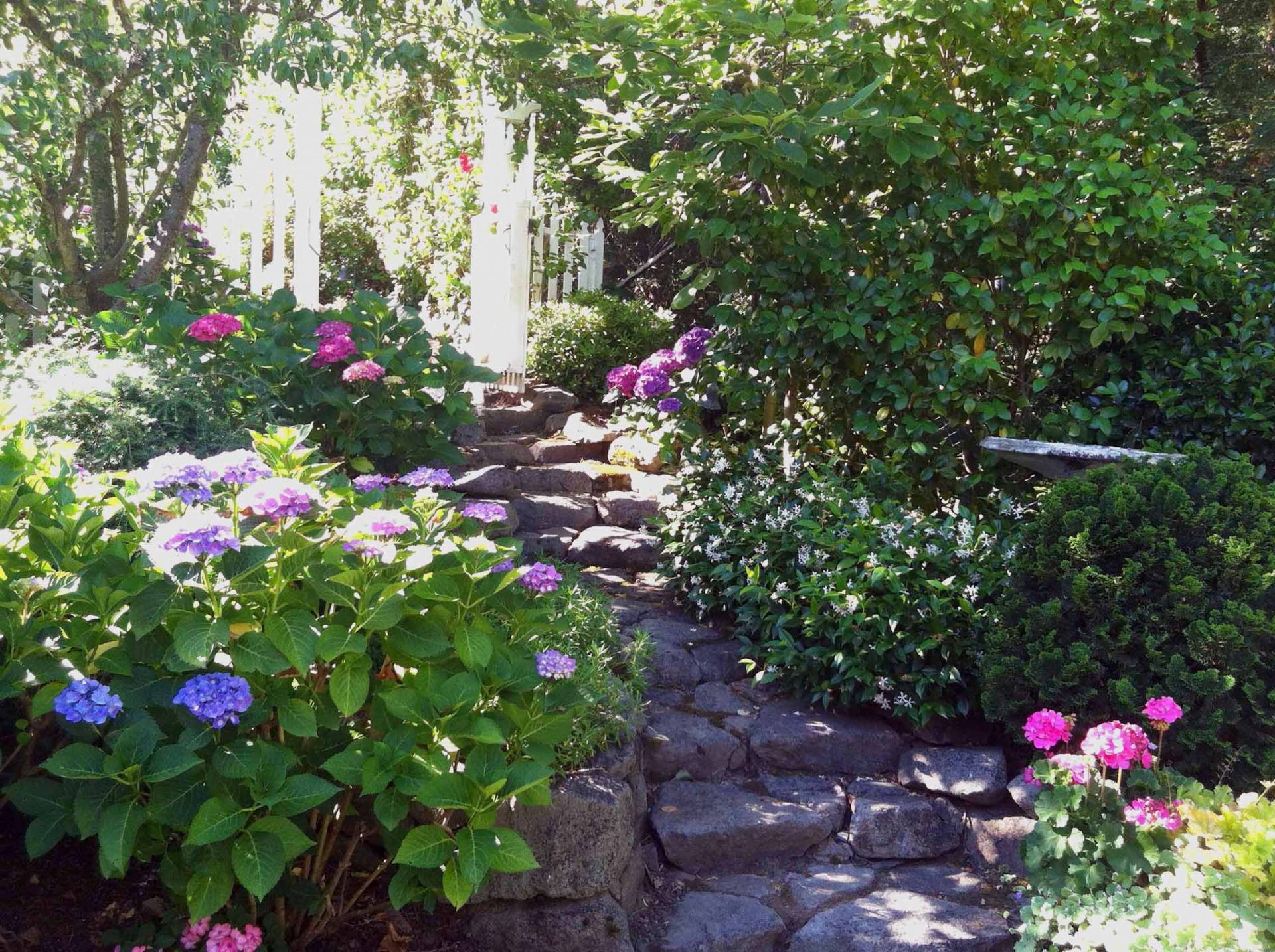 Woodland Garden