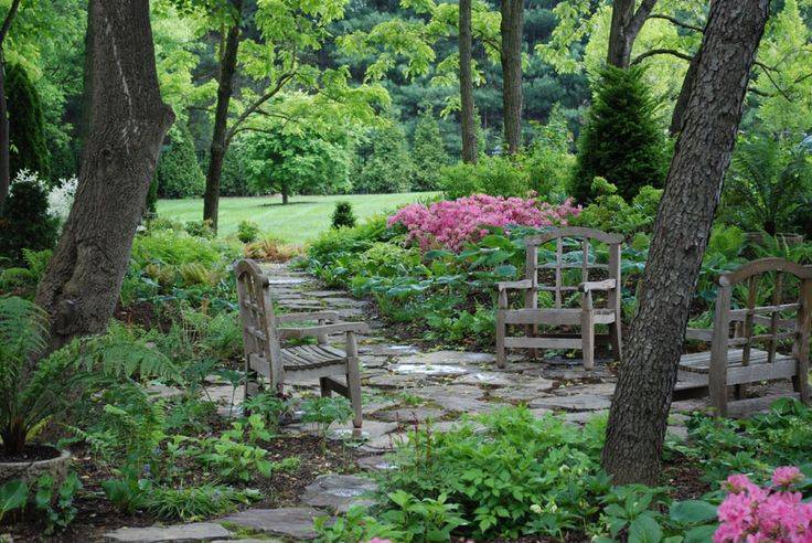 Woodland Garden