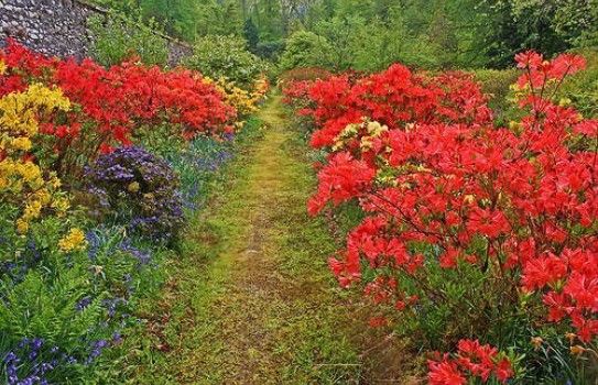Ardkinglas Woodland Garden